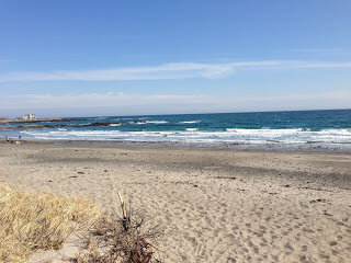 SpringTime Beach Trip