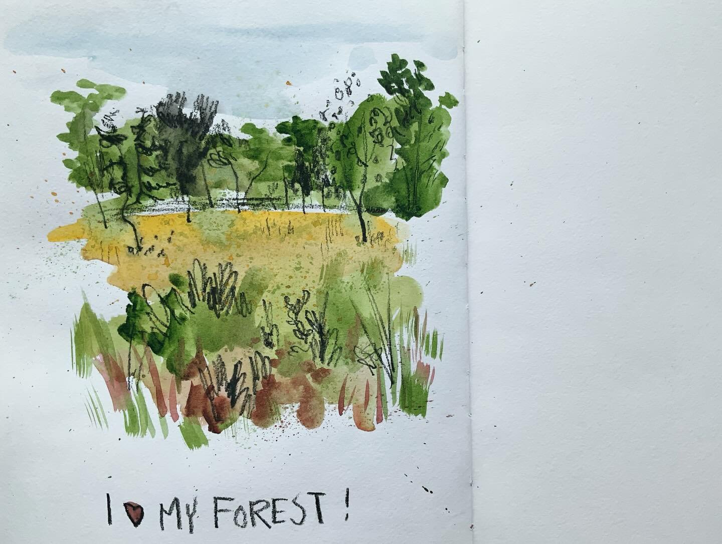 I was up early this morning and  I decided to kick off the day with a peaceful walk in nature. 

Every time I walk here in the forest nearby my home, I&rsquo;m reminded of how happy I am to have moved from Amsterdam to Amersfoort. 

I took my sketchb