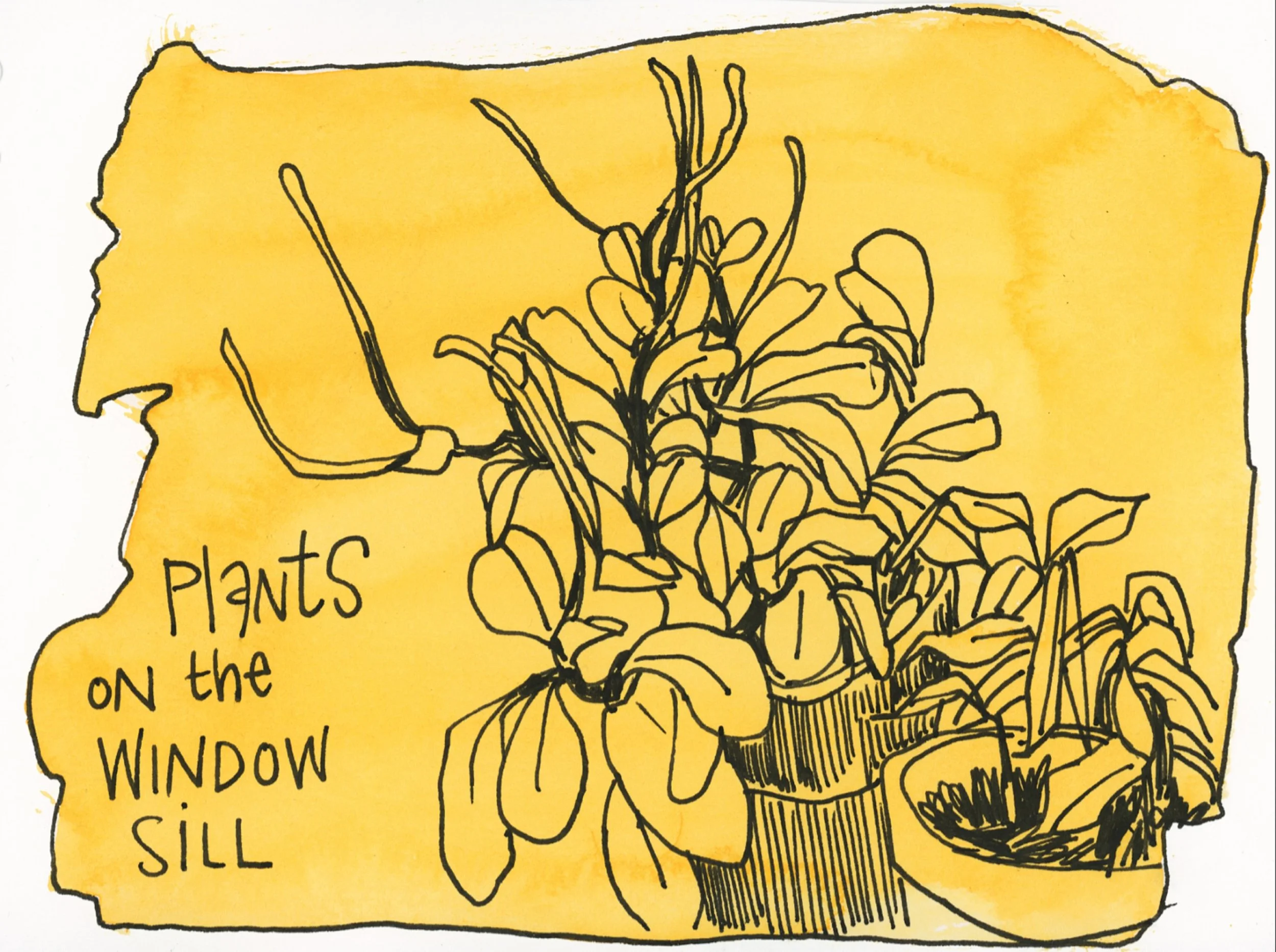 Watering the plants in my studio (and drawing them) before going to Paris, where I will do-teach the workshop &ldquo;Paris Sketchbook&rdquo;