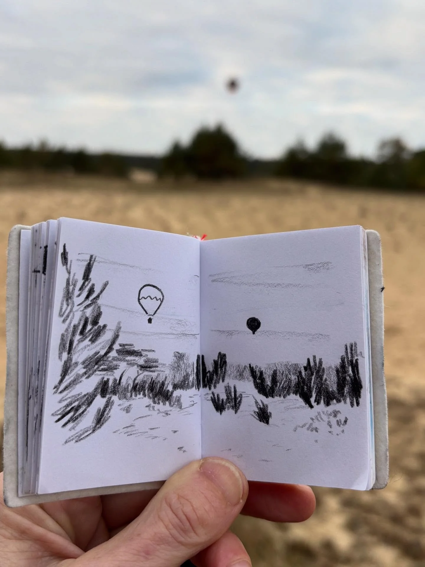 What a beautiful morning. 
Today started with a sunrise walk (swipe to see the sunrise) and meditation guided by @bertwinhooijer from @devriendschapveluwe . 

Plus a little drawing (because I just can&rsquo;t help myself). 

I didn&rsquo;t bring my s