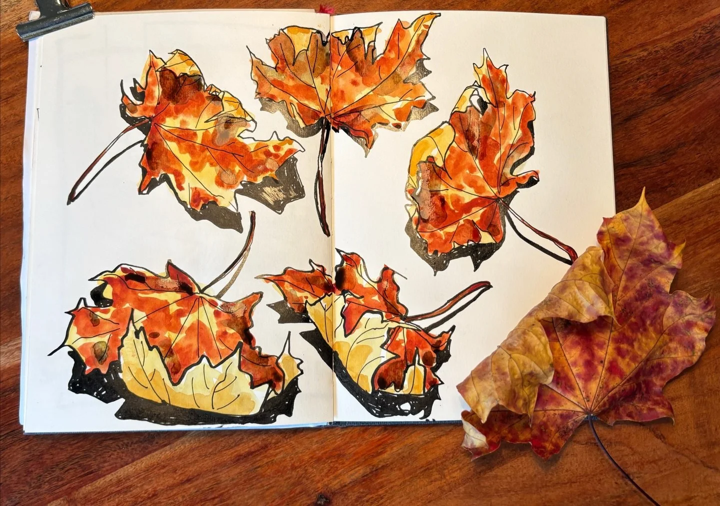 Back home again, after my 5-day work retreat. I am happy to be back. It seems less winter-y here than where I stayed. Around water it&rsquo;s different than when surrounded by trees and the forest so close by. The trees still have gorgeous fall color