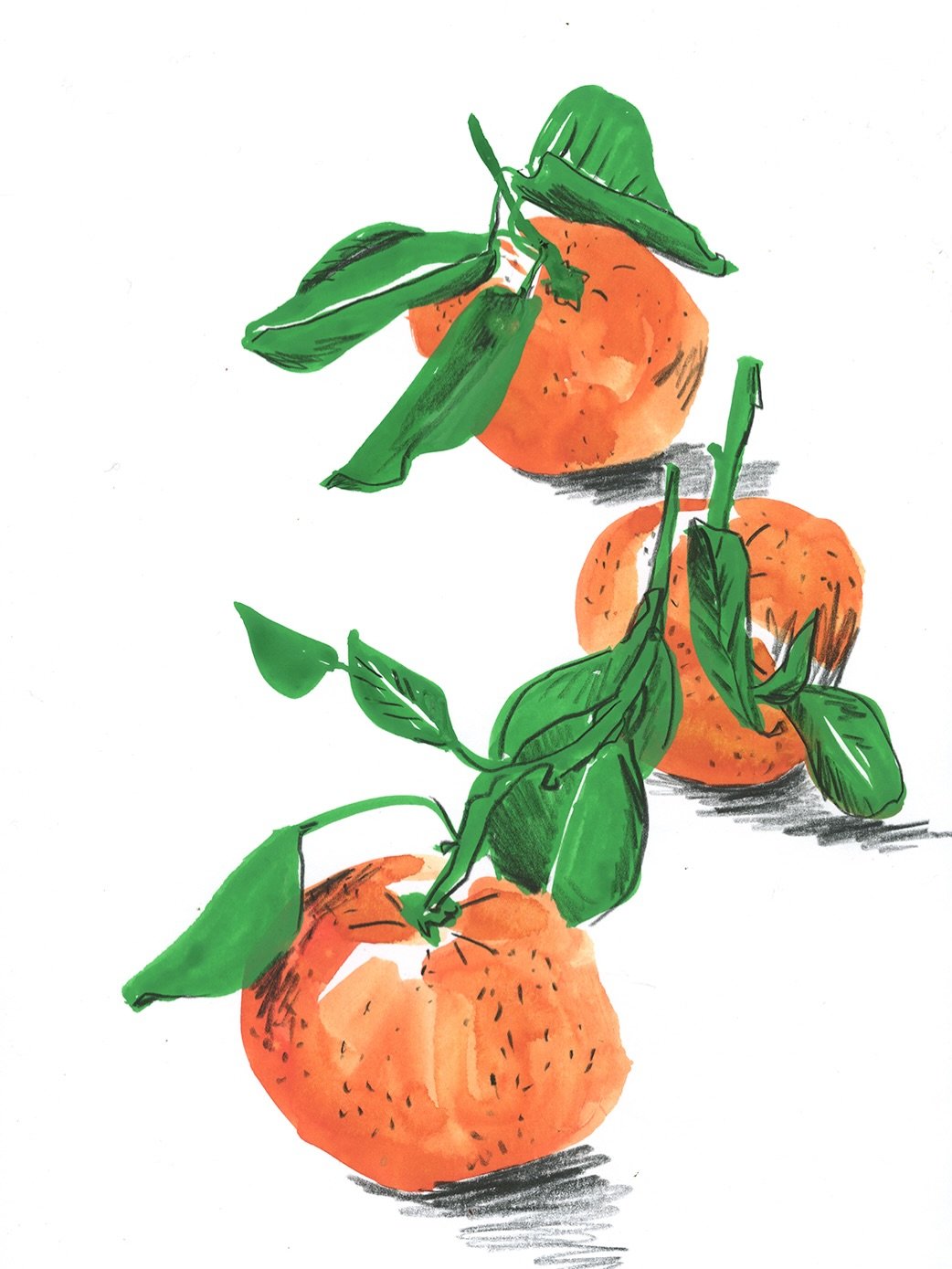I painted these three mandarins with gouache, and then drew with black colored pencil on top. 
Even though you can get these fruits all year now, they still taste like November and December to me. Something about their color, smell and sweetness just
