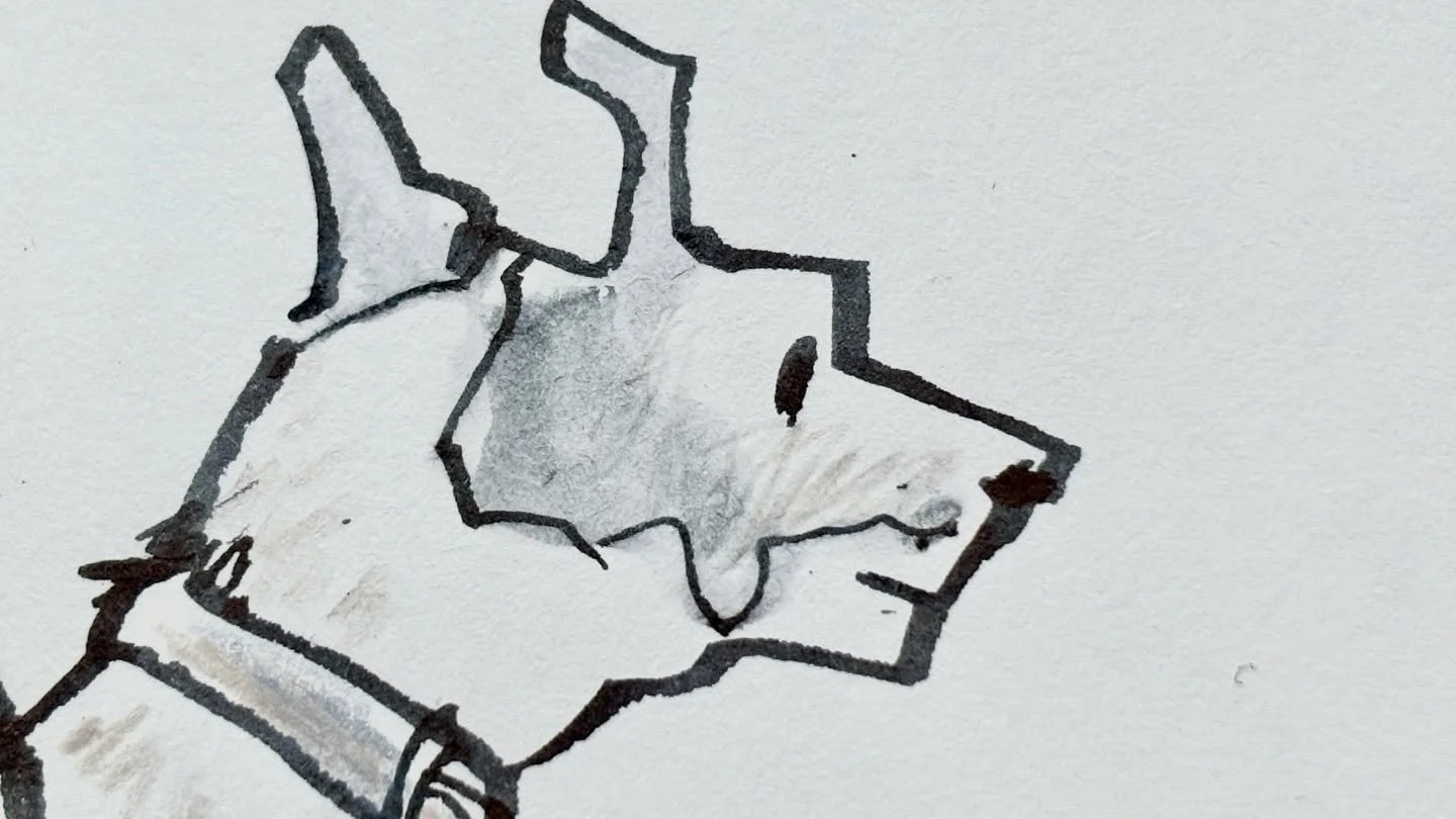 Good dog.

Materials used: 
-Letterwish sketchbook, size 16,5 x 23,0 cm (between A5 und A4)
-Sailor Fude fountain pen (55&deg; nib) 
-Pentel Aquash waterbrush to dilute some of the ink
-Caran d&rsquo;Ache Luminance colored pencil

#lifeisbetterwhenyo