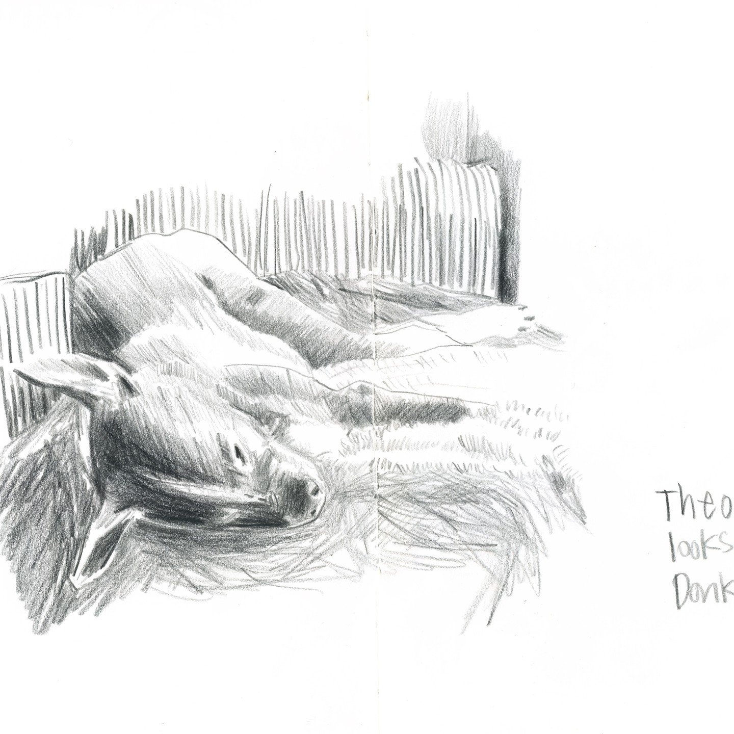 When I get the chance to practice drawing animals, I will! If I would have a dog, I might already be better at drawing dogs, as I would have a model by my side every day. My current muse is Theo. @artlyfestyle regularly sends a photo of him. This pho