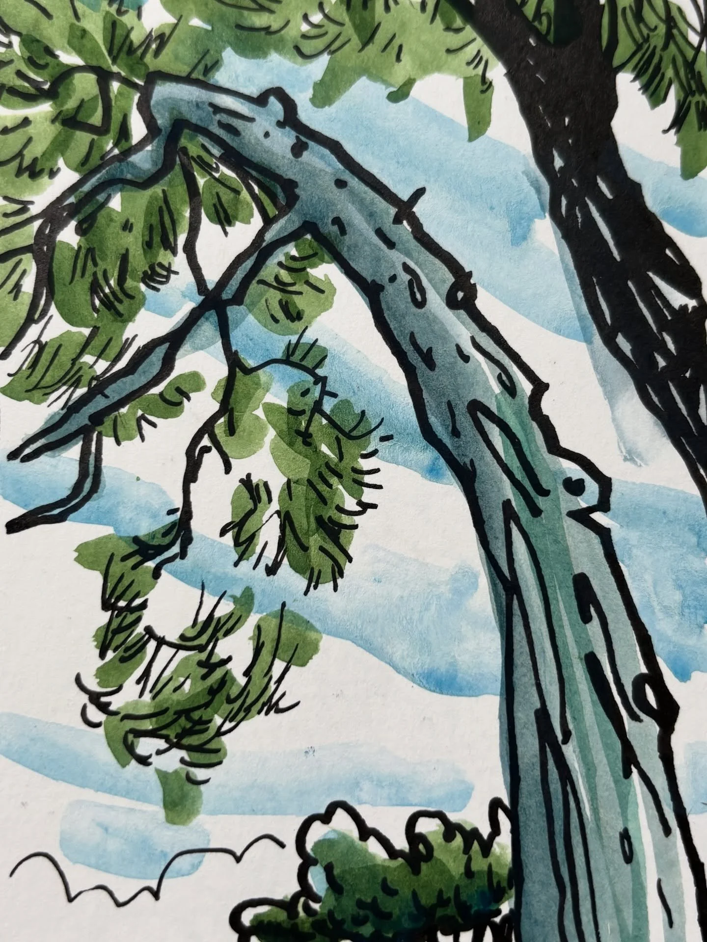 Last batch of pages from the sketchbooks I filled this year.
Tiny moments. Big adventures. People that I connected with through art and/or friendship. 
Together, all those pages in my sketchbooks tell the story of my year. Where I went, what I did, h