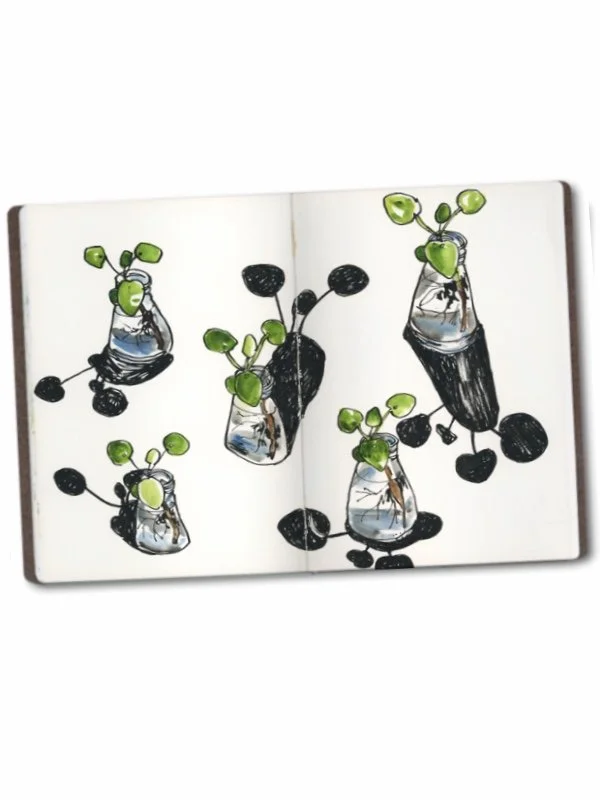 How Light and Shadow Change Your Drawing