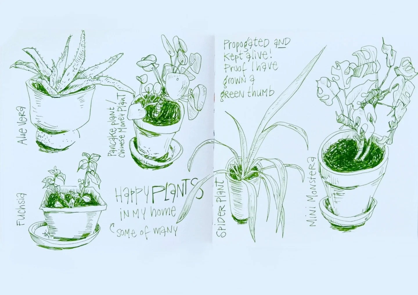 I signed up last minute for @ritasabler &lsquo;s class on visual storytelling and had fun today drawing this collection of small plants in my home. They are proof that I learned to take care of plants and that I managed to grow a green thumb. 

What 