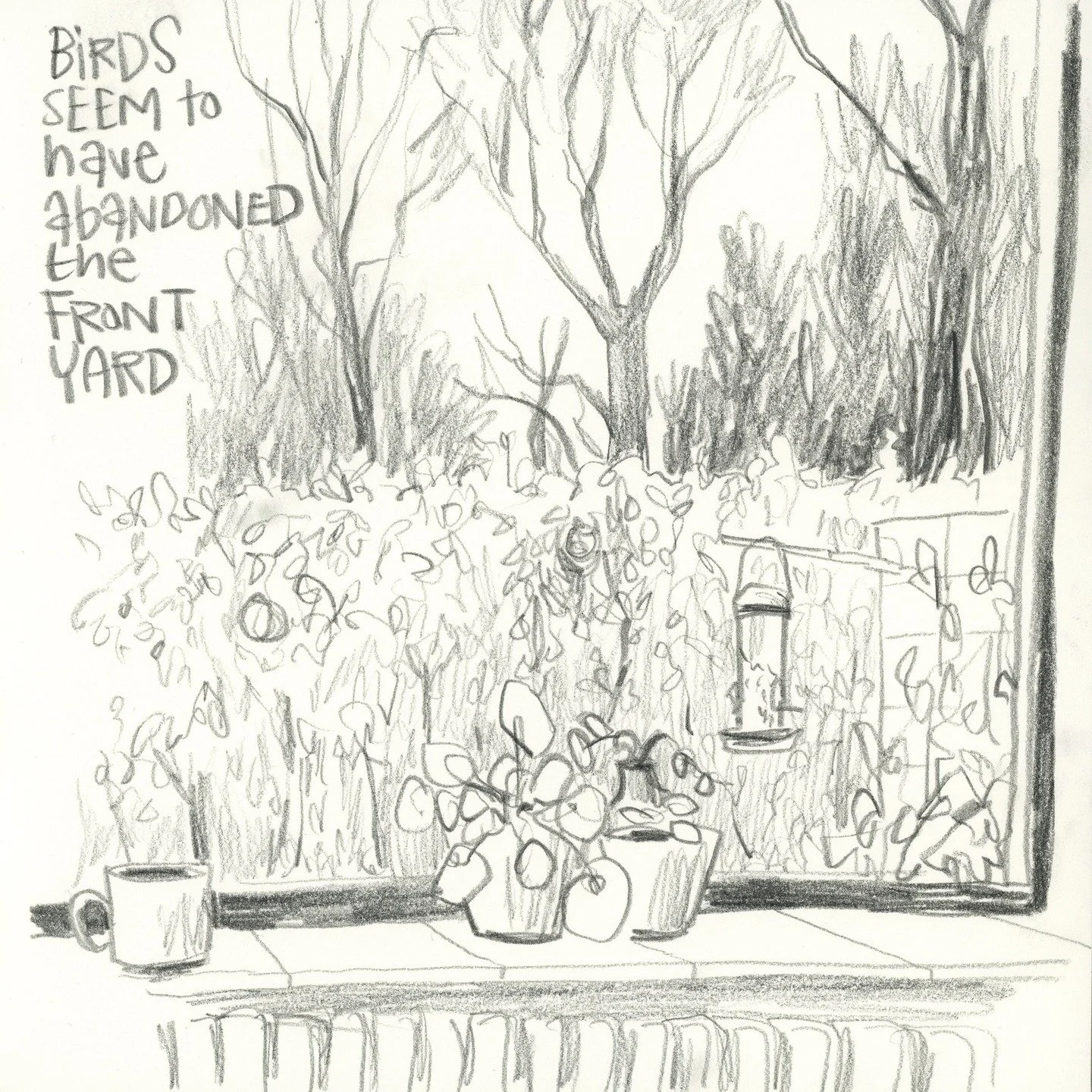 What if everything is still?
You look out the window, ready to draw, and nothing seems to happen.
Do you close your sketchbook because it feels boring?

Of course not.

Pause.Take in the stillness.
Ask yourself what makes this moment so quiet.
The li