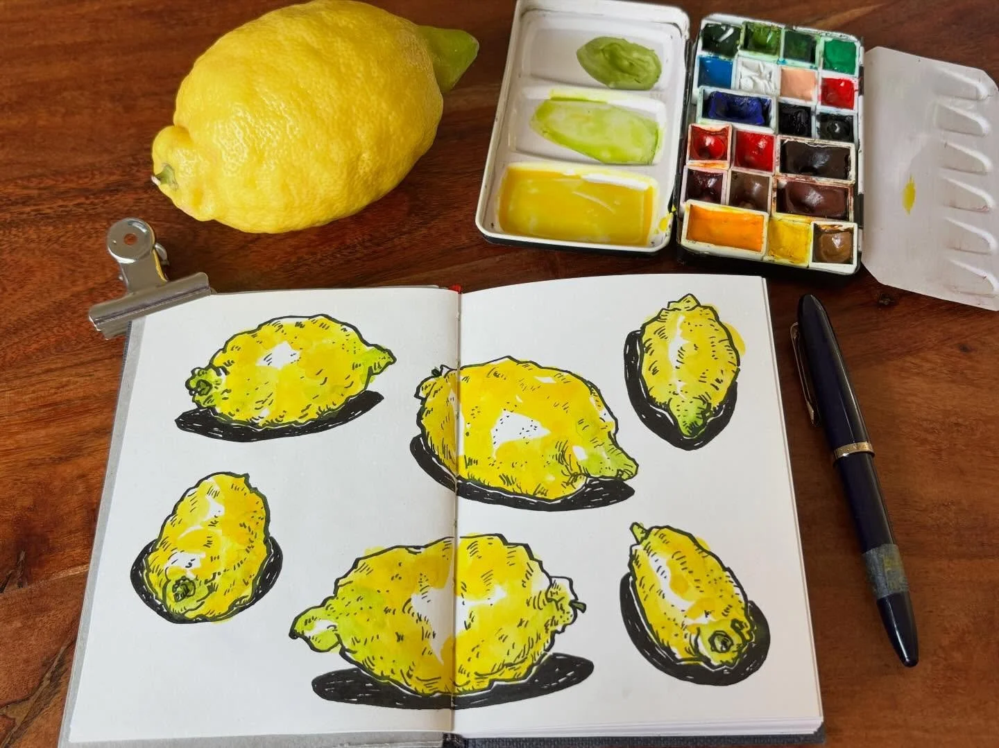 Did I buy this lemon because it looked so awesome to draw? Mmmmaybe.

Did I have fun drawing it? Totally! 

I used a Hahnem&uuml;hle watercolor sketchbook, size A6, a Sailor Fude fountain pen (55&deg; nib) with Platinum Carbon Black ink, and watercol