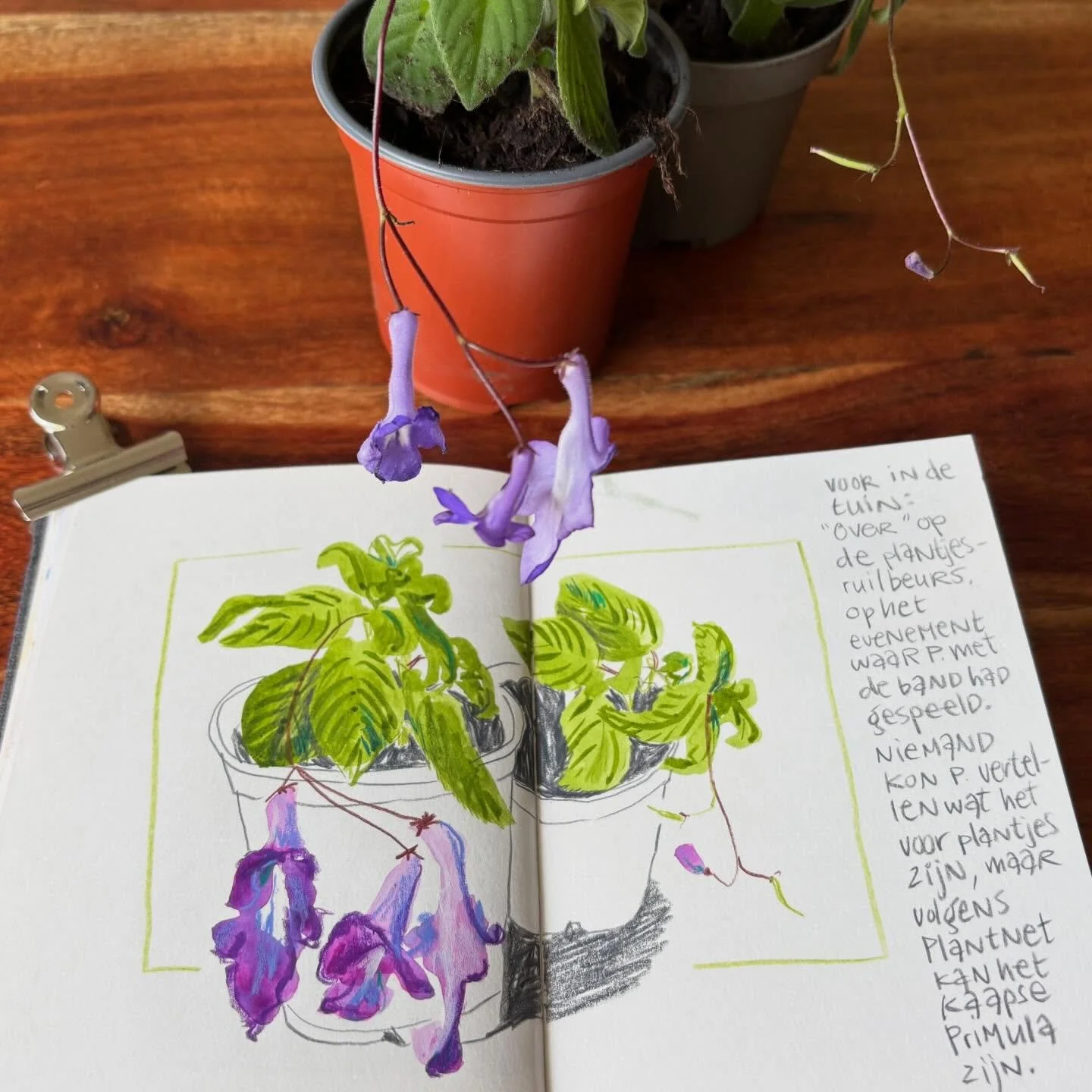 Sunday morning meditation. 

Materials used:
-Hahnem&uuml;hle watercolor sketchbook, size A6
-Watercolors, Daniel Smith and Schmincke 
-Pentel Aquash waterbrush
-Caran d&rsquo;Ache Luminance colored pencils
-Caran d&rsquo;Ache Neocolor II crayons