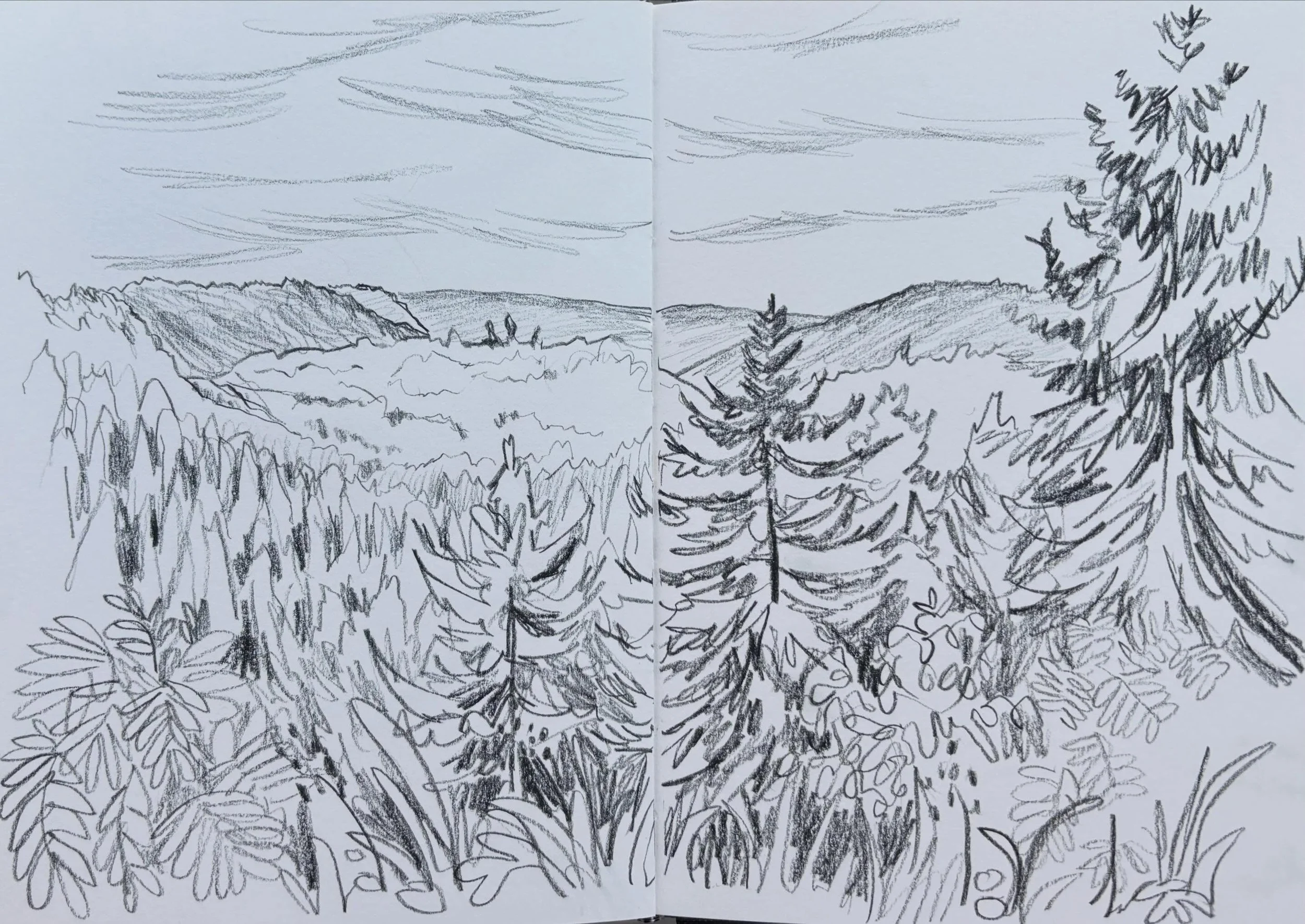 During today&rsquo;s hike, I brought the minimum of supplies along with my sketchbook. Sitting down on a bench at one of the viewpoints, my husband said: &ldquo;don&rsquo;t you want to draw this?&rdquo;
&ldquo;Too overwhelming&rdquo;, was my first re