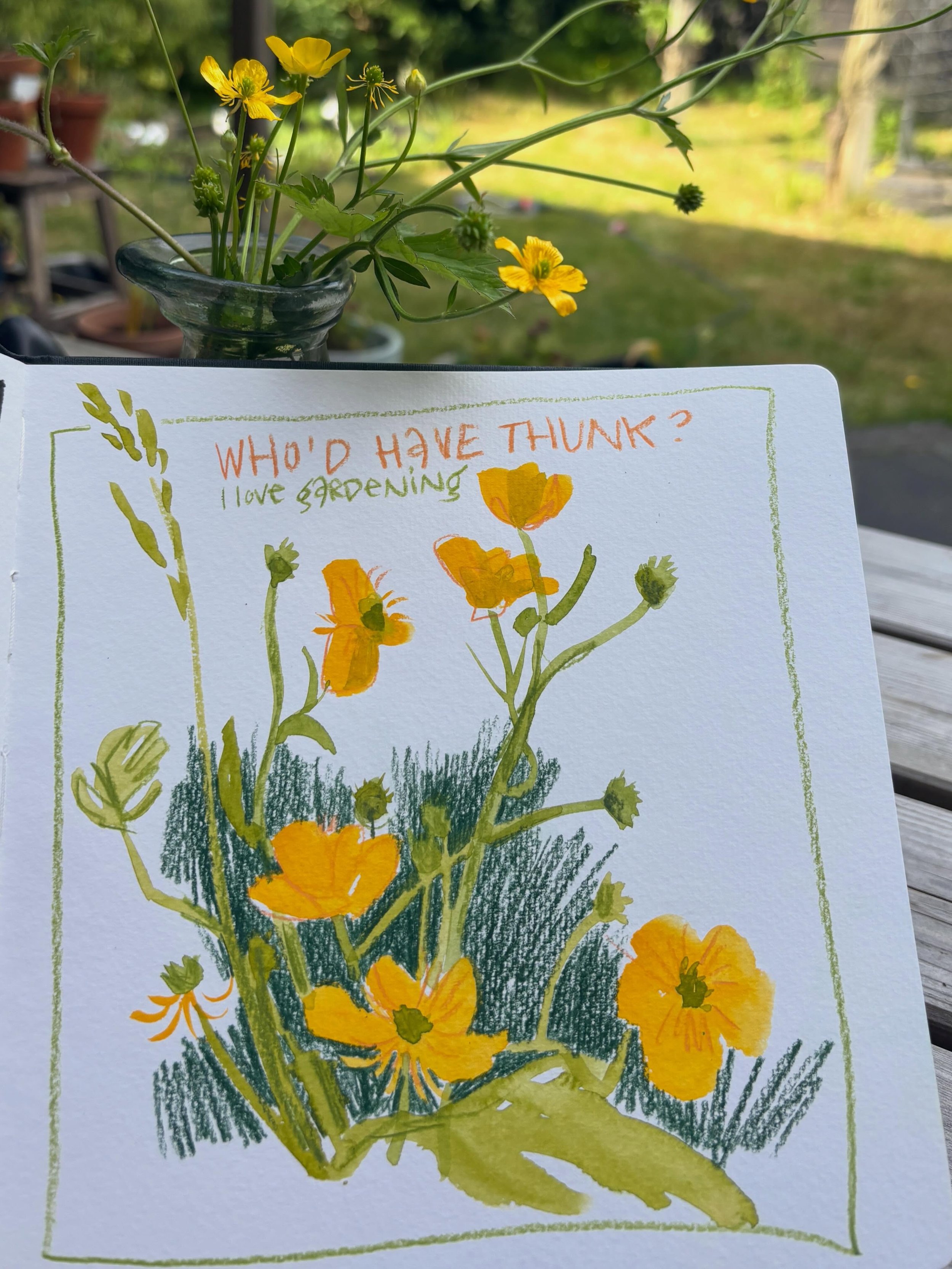 If you&rsquo;ve told me a few years back that I would enjoy working in the garden and looking at (and listening to) birds, I would have laughed. 

It might be age, or the fact that I have a backyard to play in now. Or both. 

Anyway, after some light