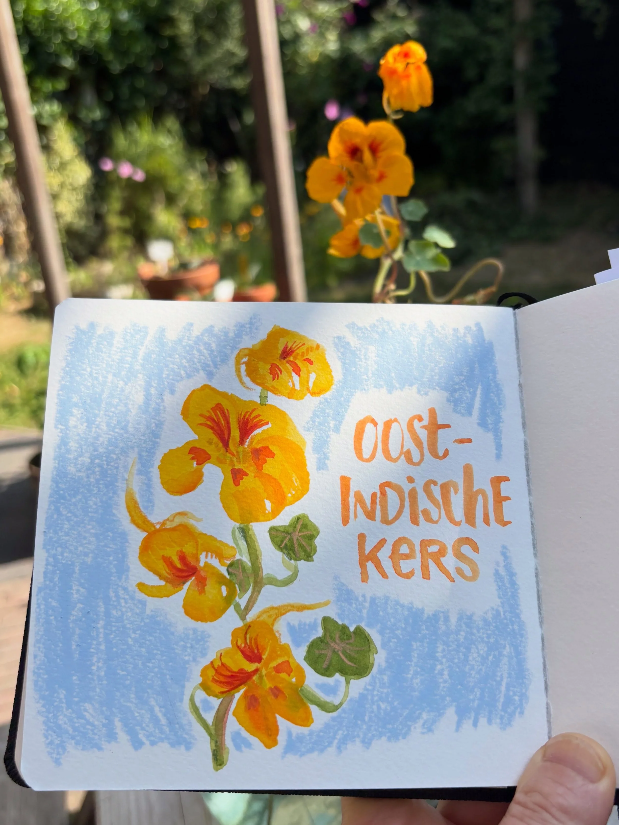 This morning&rsquo;s drawing meditation in my sketchbook. 

Materials used:
-Hahnem&uuml;hle watercolor book (100%cotton), 14x14cm / 5.5x5.5&rdquo;
-Watercolors, Daniel Smith and Schmincke in @indigraph colorclip
-Pentel Aquash waterbrush
-Caran d&rs
