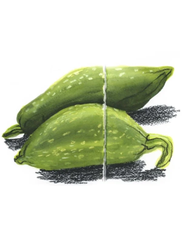 This Trick Makes Watercolor Sparkle