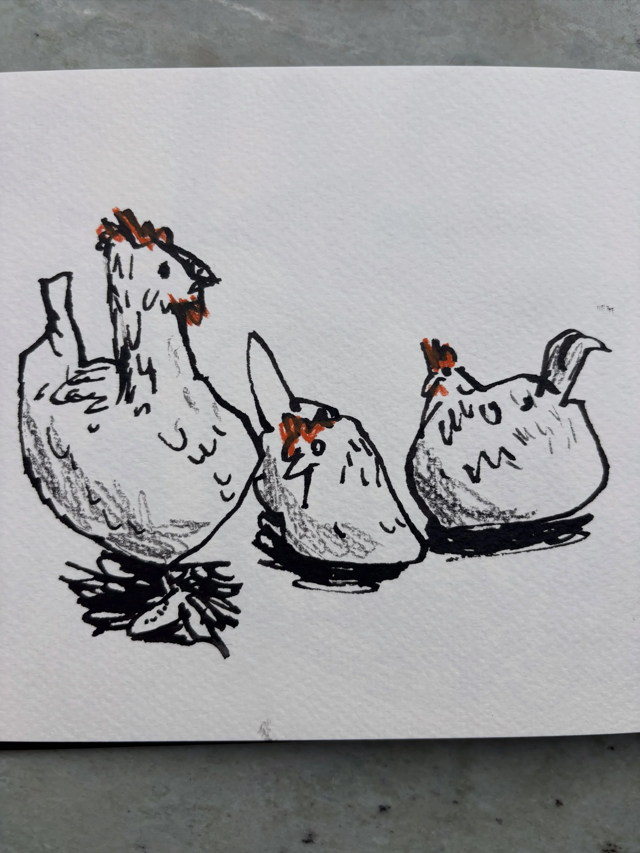 I was a bit early for a meeting with a friend. The caf&eacute;, surrounded by green and close to the forest, had vegetable gardens and little nooks, and chickens too. While waiting for my friend to arrive, I seized the five minutes extra time I had, 