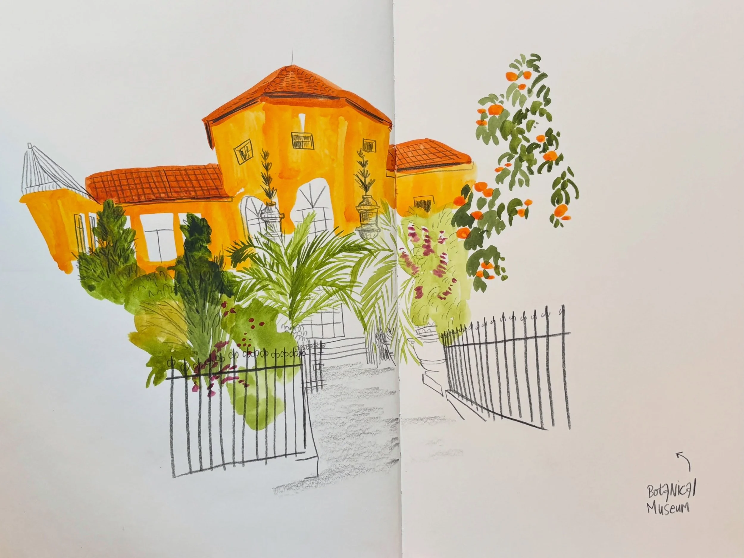 Posting today&rsquo;s drawings in reversed order. This was day 4 of the @_thebluewalk art trip to Italy. 

Today we stayed in Padova. 
In the afternoon, I visited the botanical gardens. Sketching and chatting side by side with people from the group. 