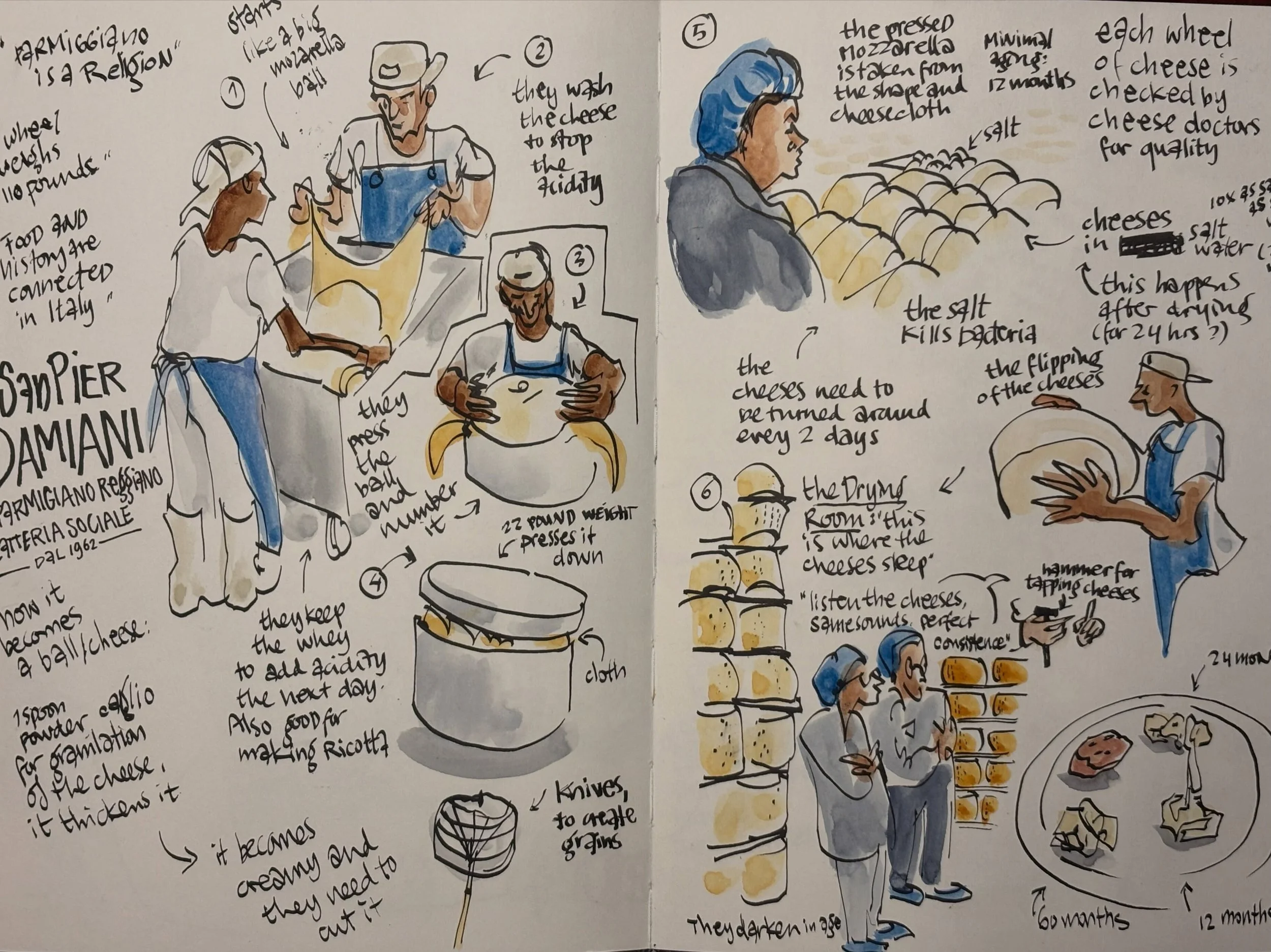 Another set of badly lit and photographed pages. The days are full and once I get to photograph my pages, it&rsquo;s dark. 
But whatever. It was another awesome day with @_thebluewalk in Italy! 

1. The day started at a Parmigiano cheese factory, @sa
