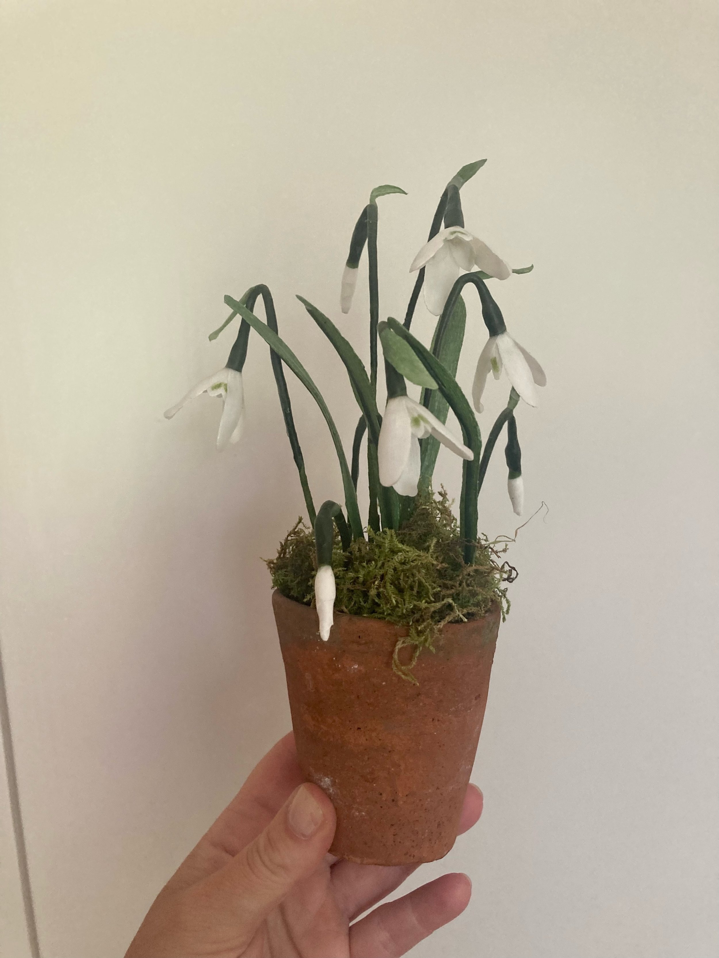 snowdrops2.jpeg