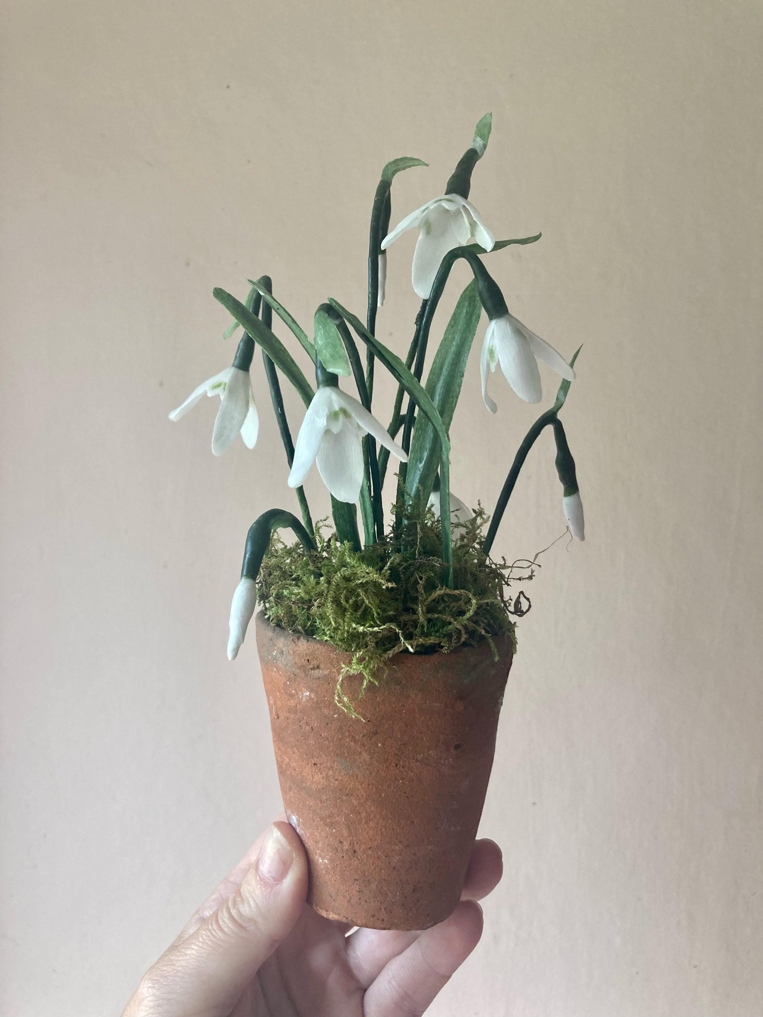 snowdrops1.jpeg