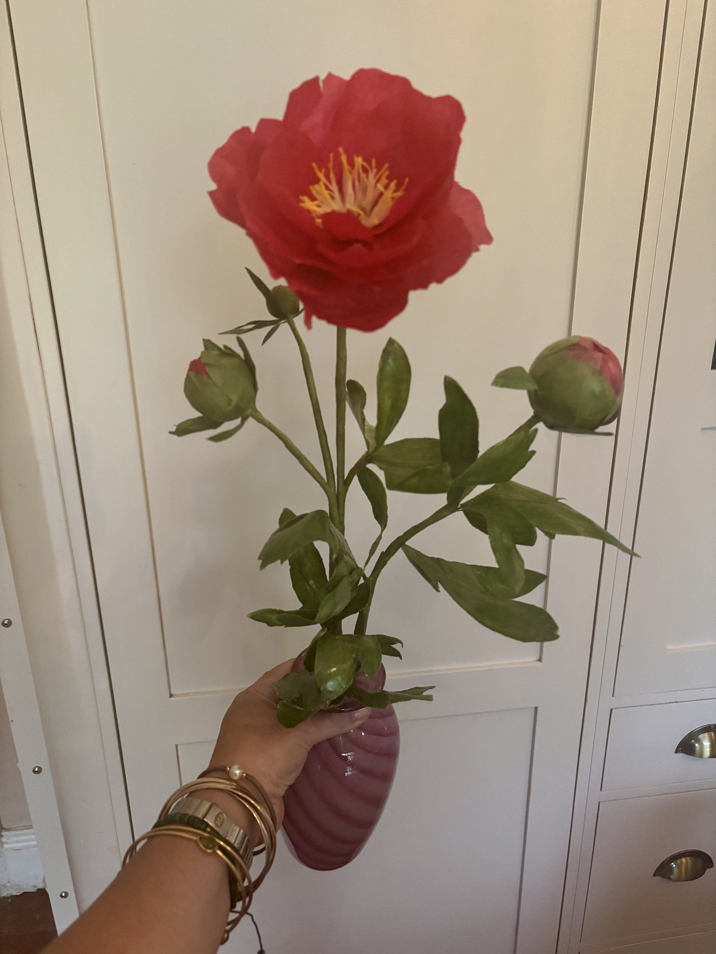 mypeony.jpg