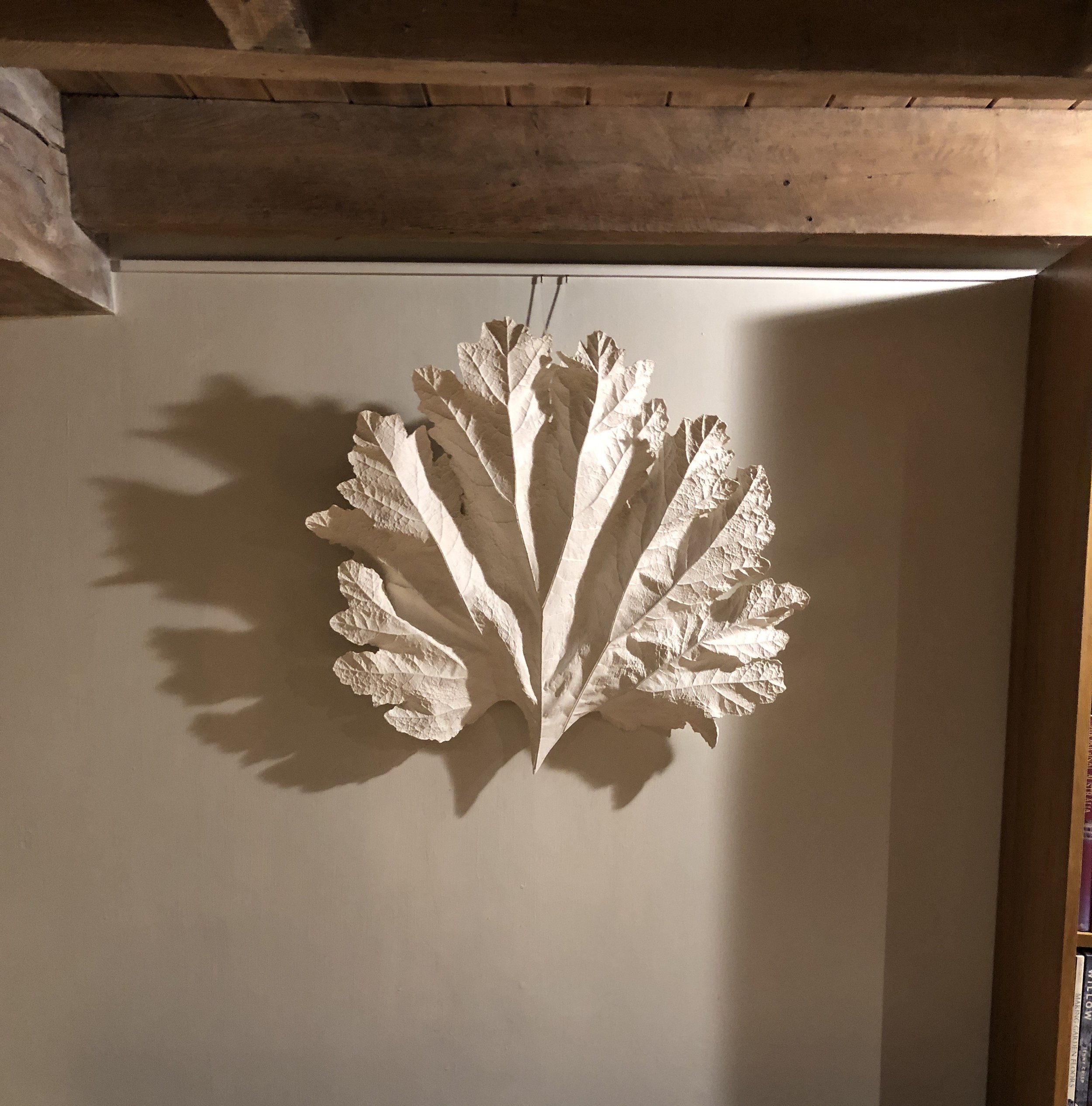 Leaf Casting with Bache Mill Botanics 10th March 2027