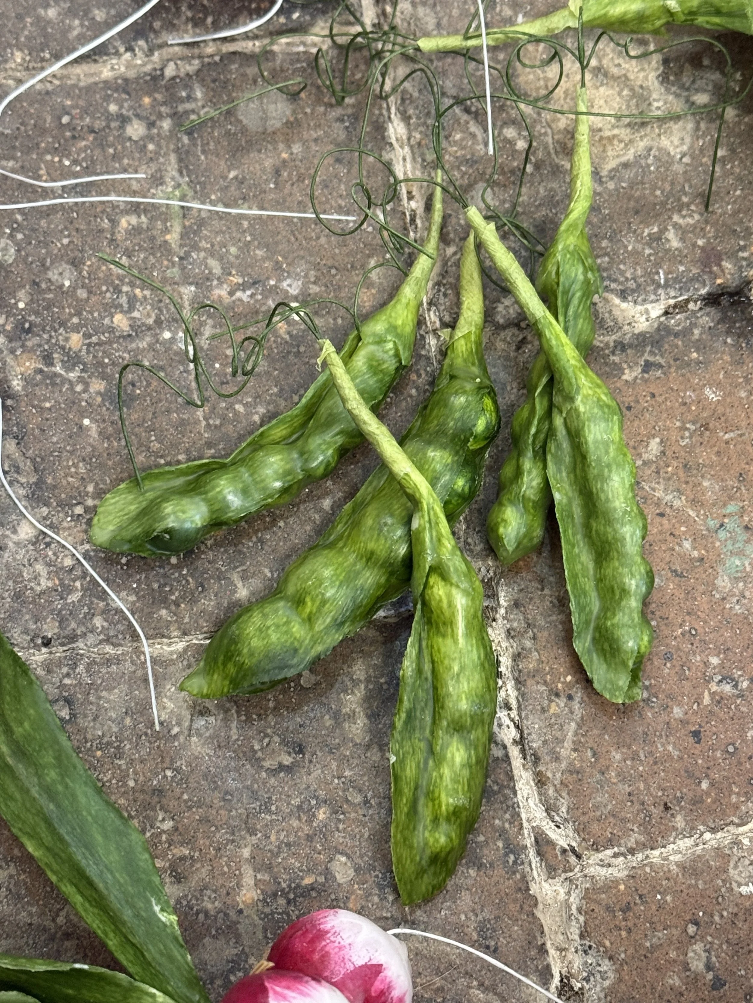 peas.jpeg