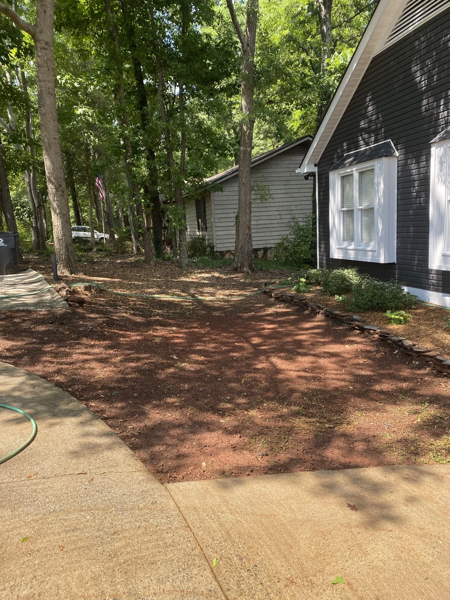 I seeded a native, nitrogen fixing plant that can handle the clay and is low maintenance - Dutch White Clover.
