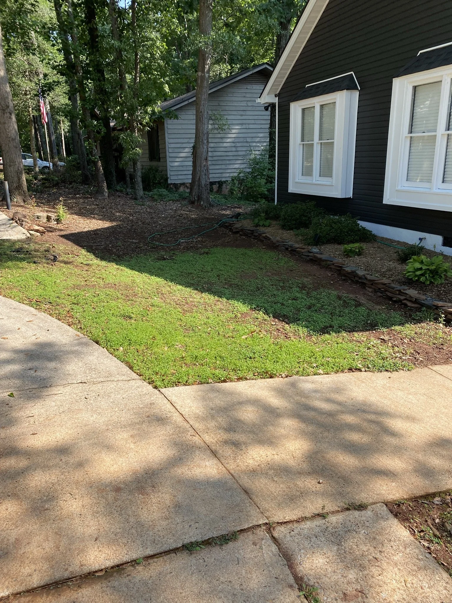 Excellent results for the first aeration & seeding.