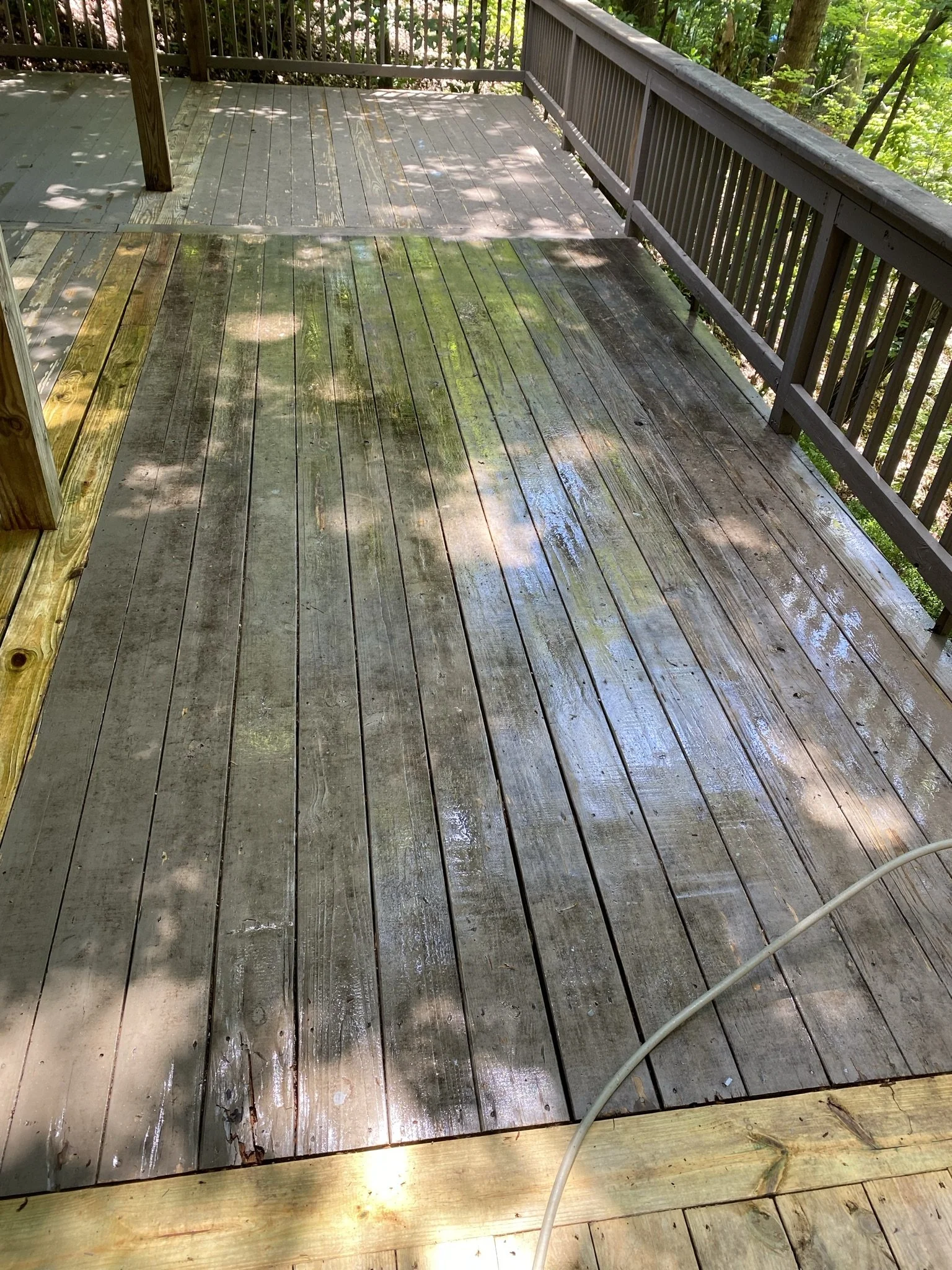 Hasn't had a bath in a long time.