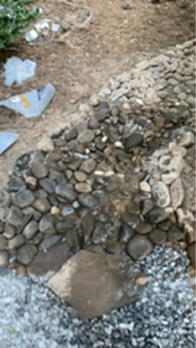 drainagegif2.gif