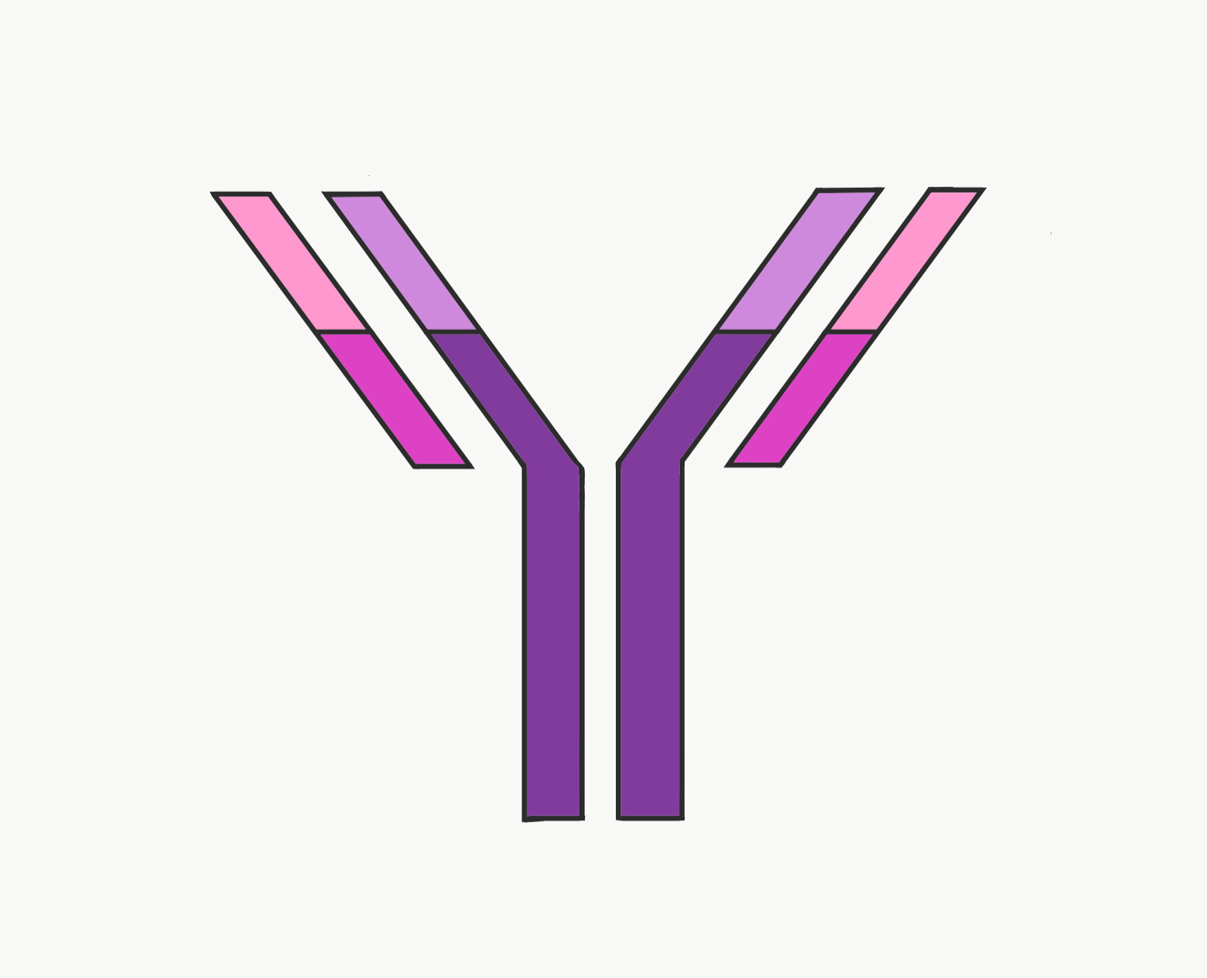 Illustration of a monoclonal antibody.
