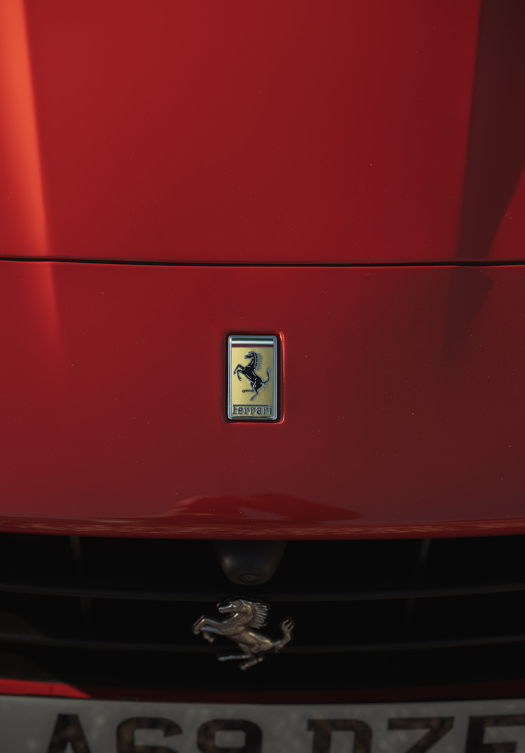 Close-up of a red Ferrari car's front hood with the Ferrari logo in the center and the prancing horse emblem below.