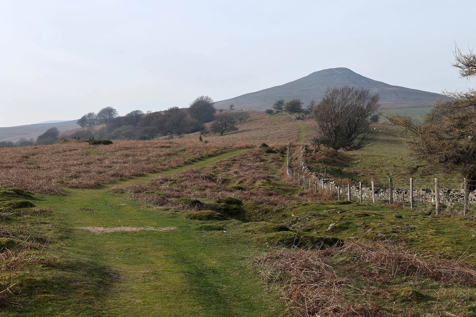 Sugar Loaf / Y Fal