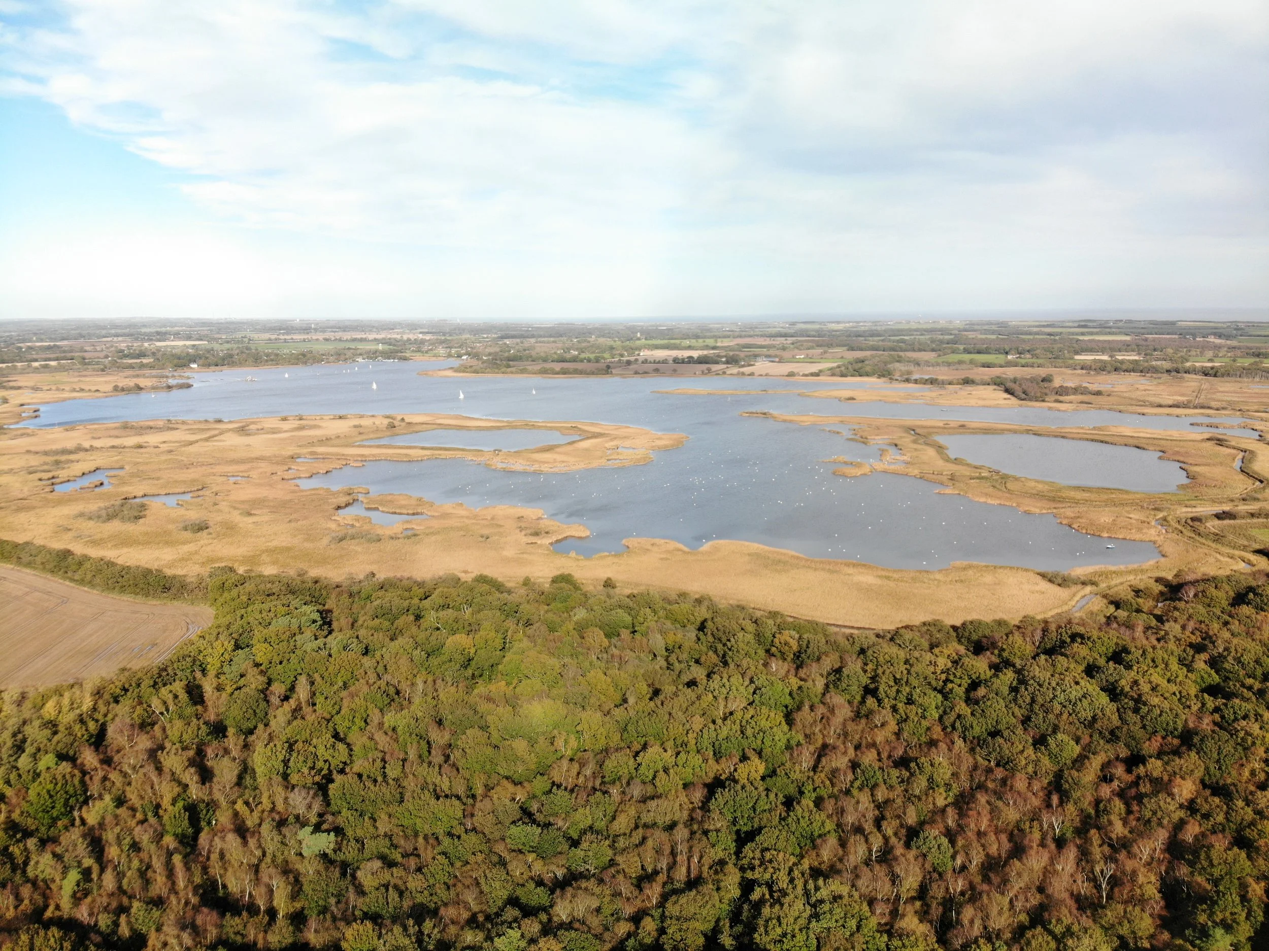 A Guide to the Broads — Walking in the Wild
