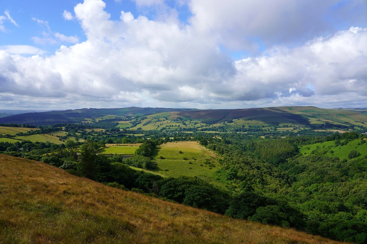 Bamford & Stanage Edge — Walking in the Wild