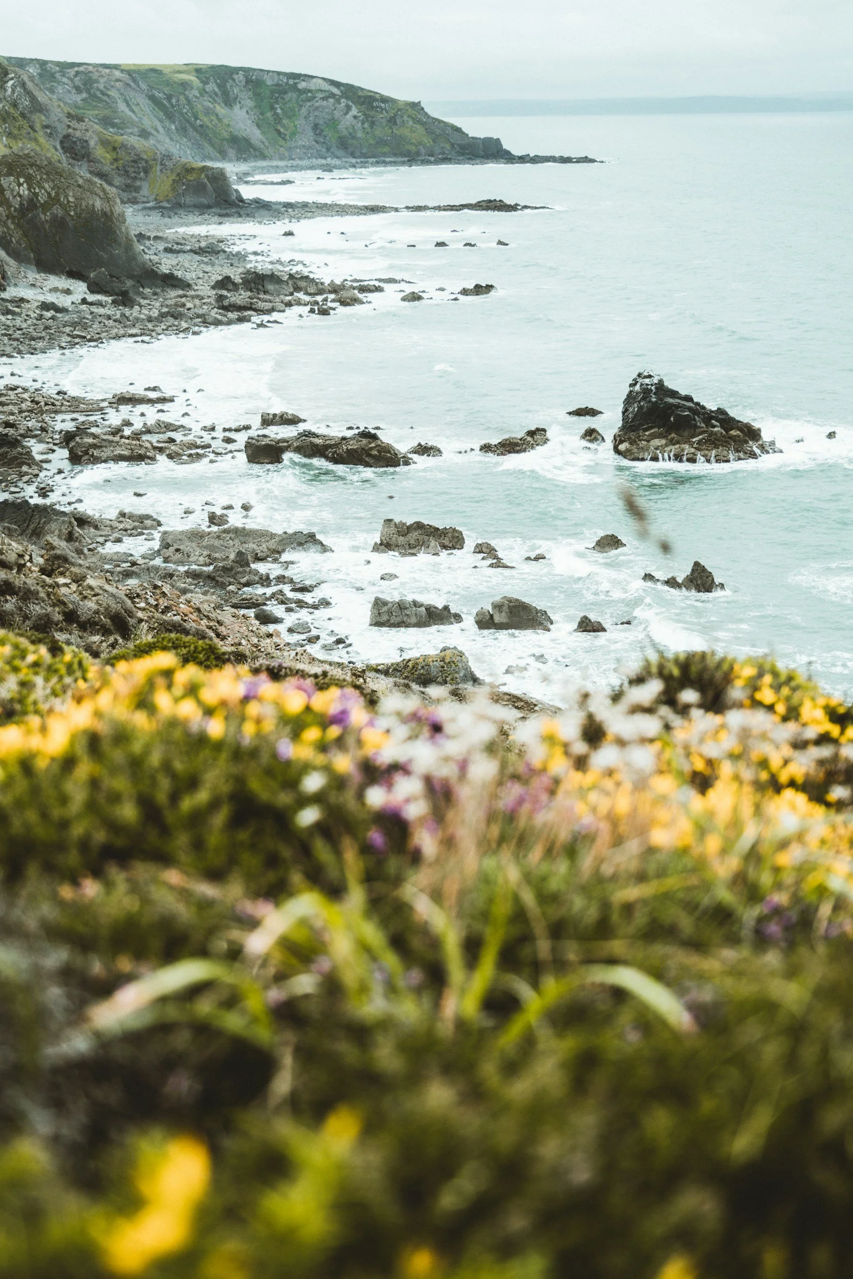 unsplash-image-sQCUOUqHaHk.jpg