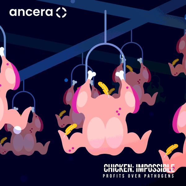 Ancera-Cover.gif
