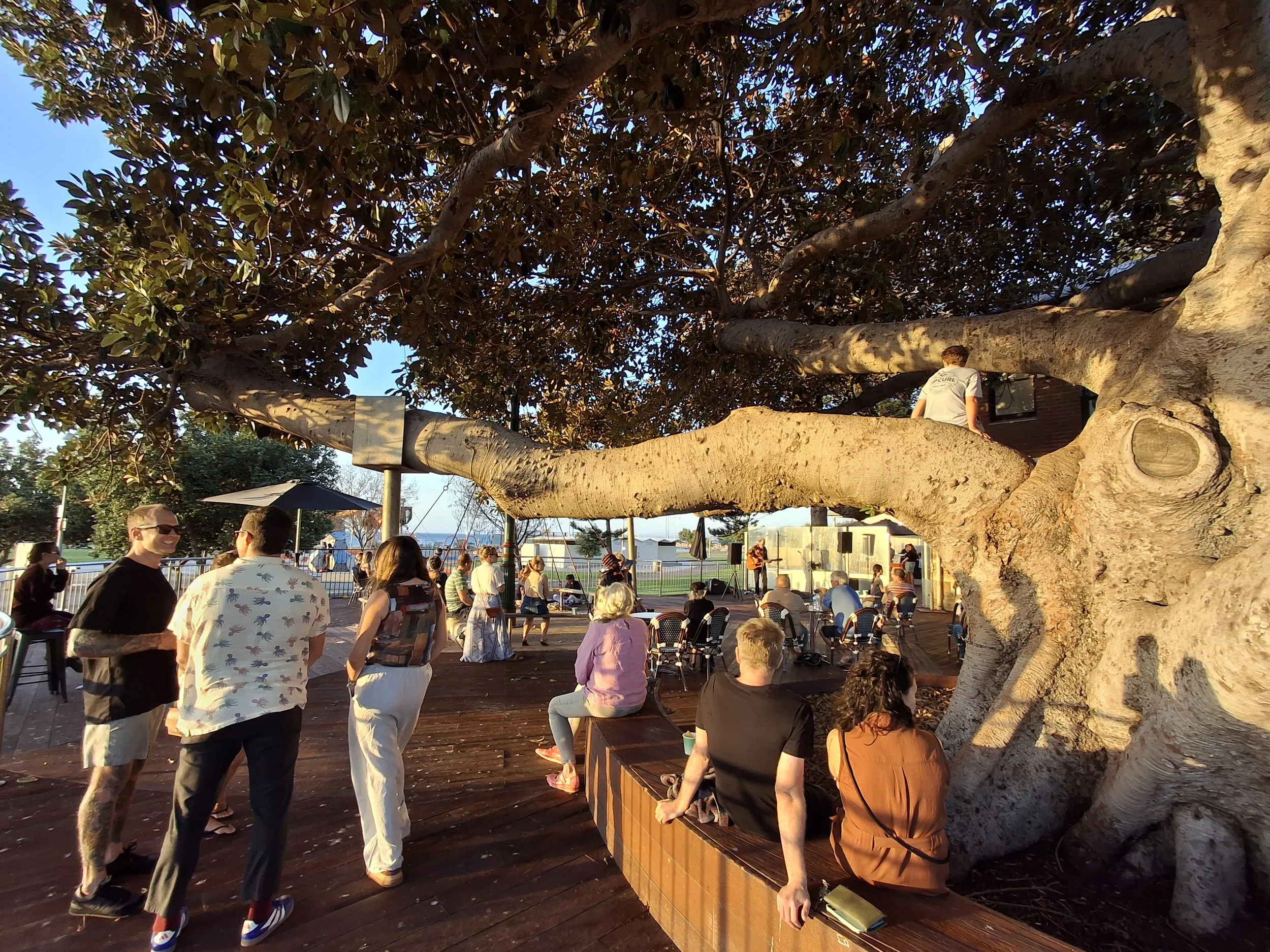 Beachcomber Busking Comp - Tree Set