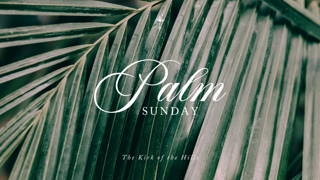 Palm Sunday 2026 | Why is Jesus Called the Son of David?