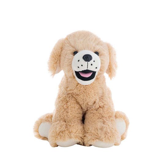 Golden doodle (Large)