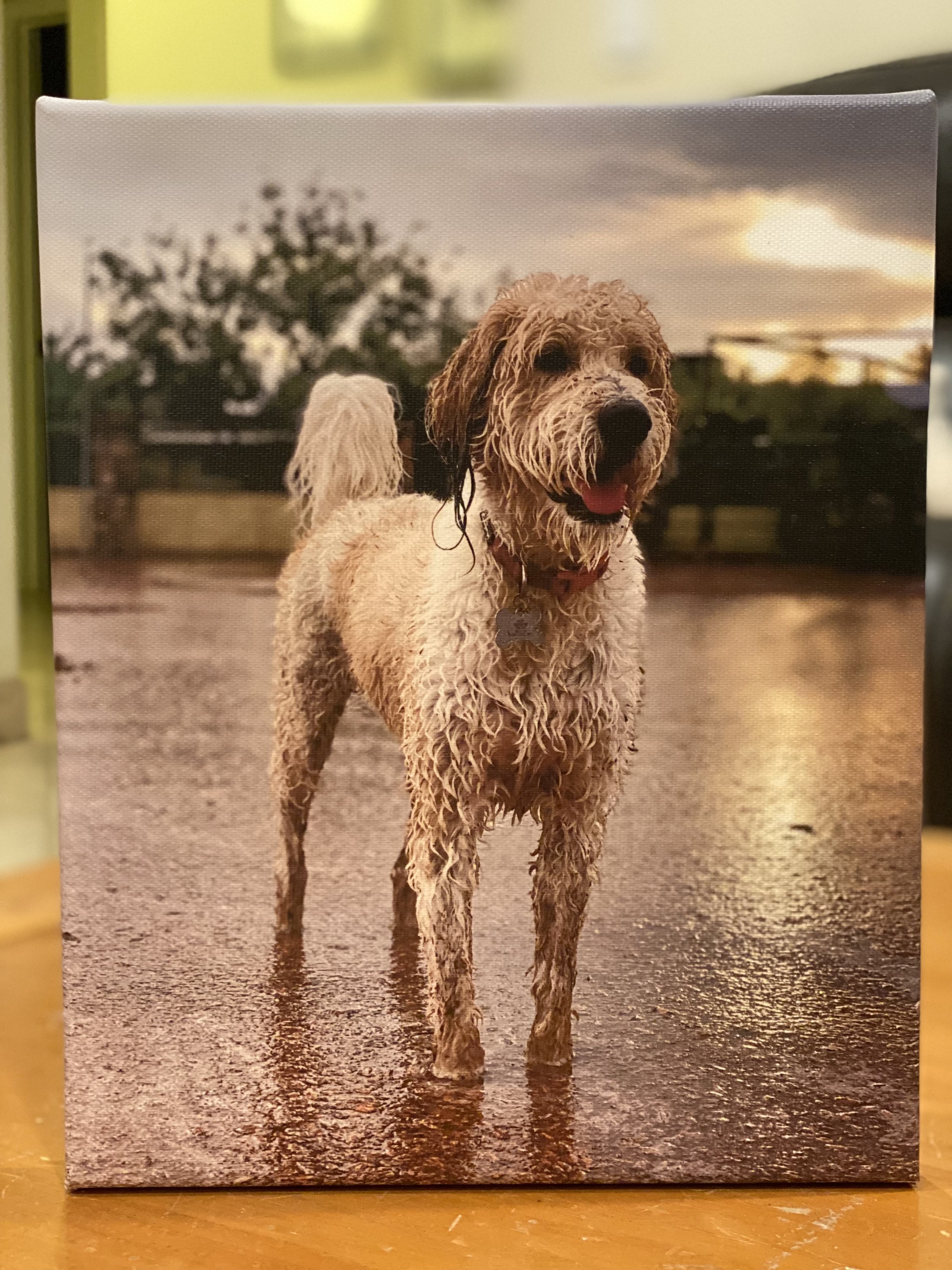 Wet Doodle
