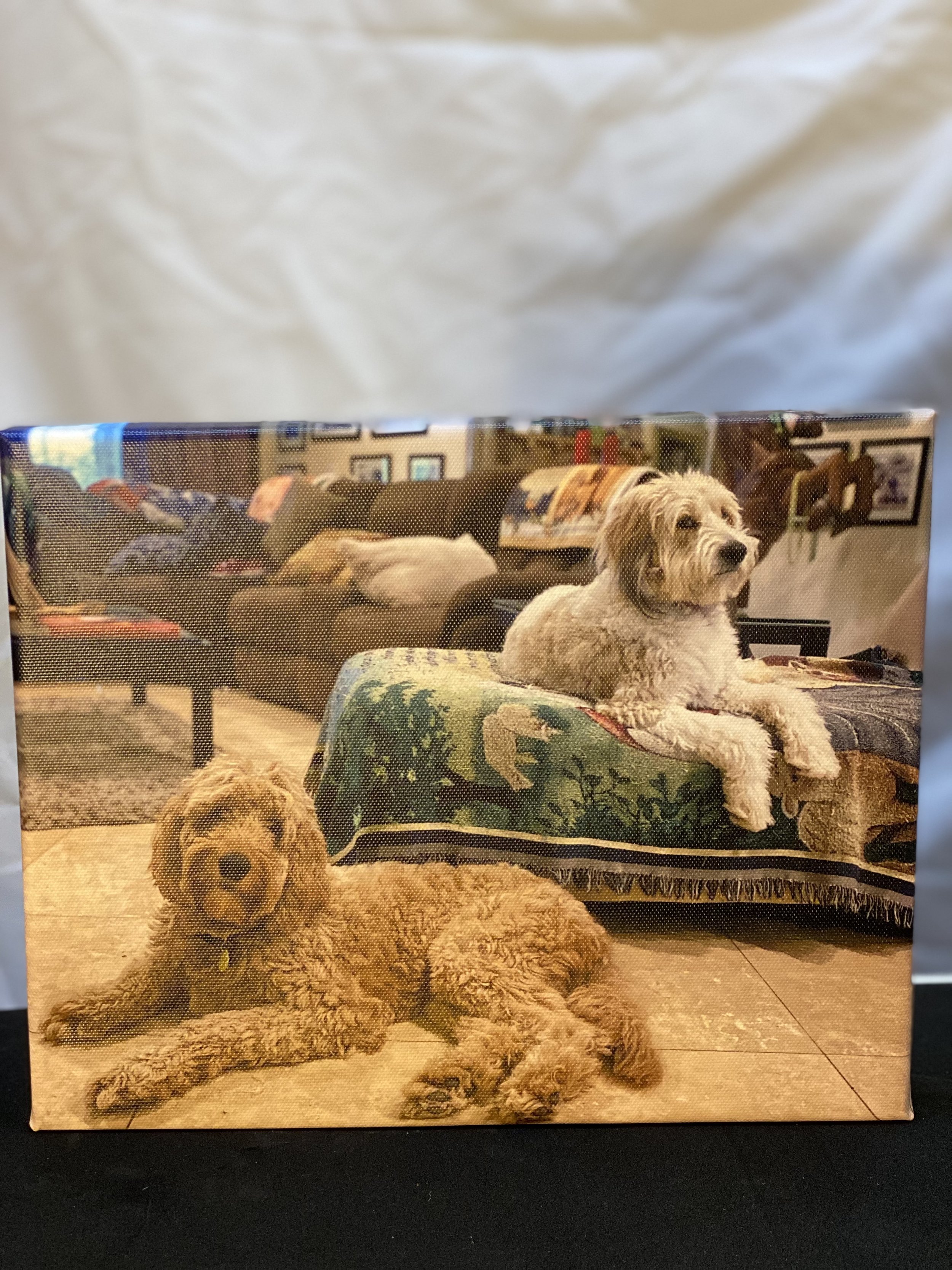 Cooper and Annie