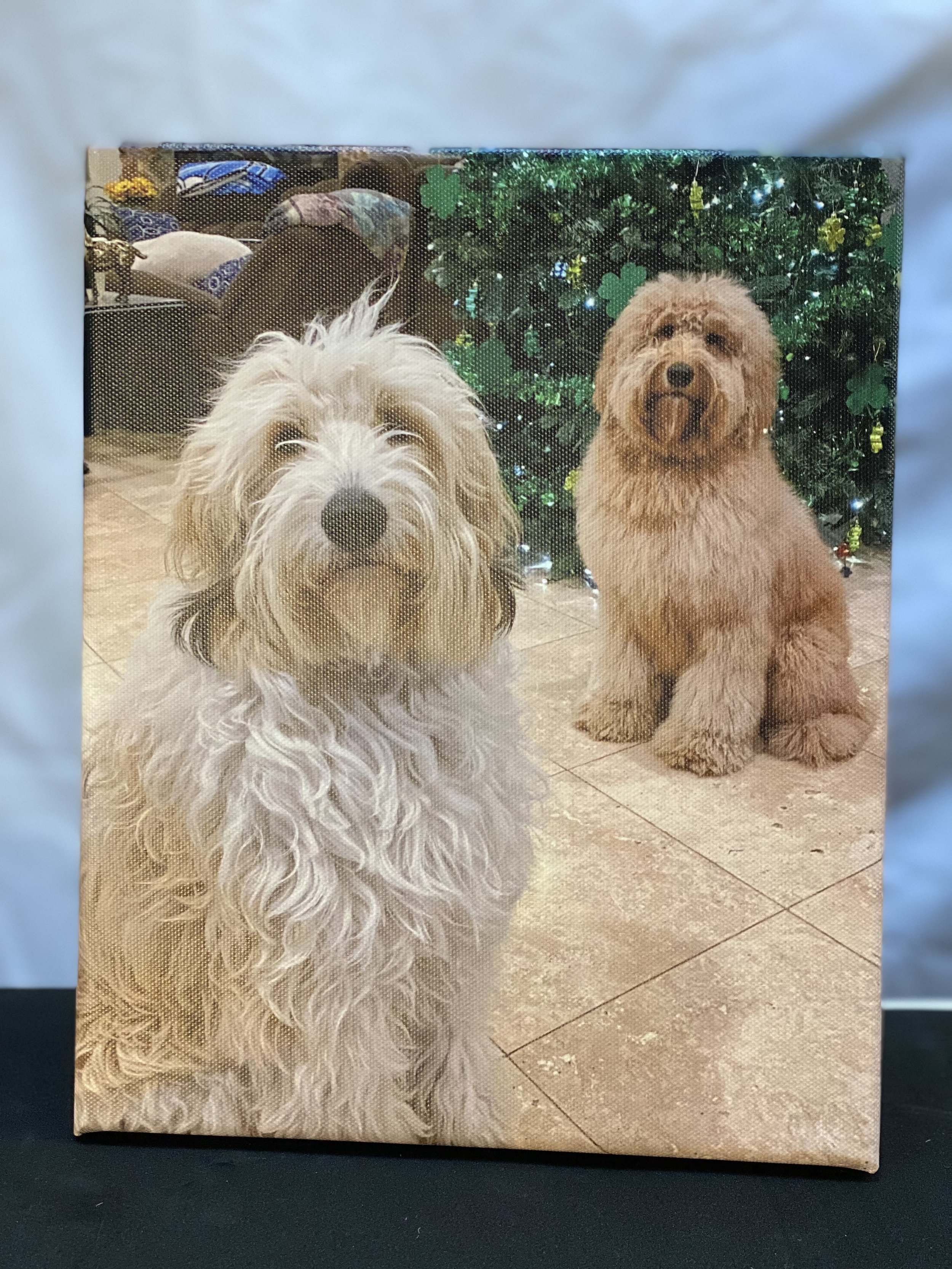 Annie and Cooper