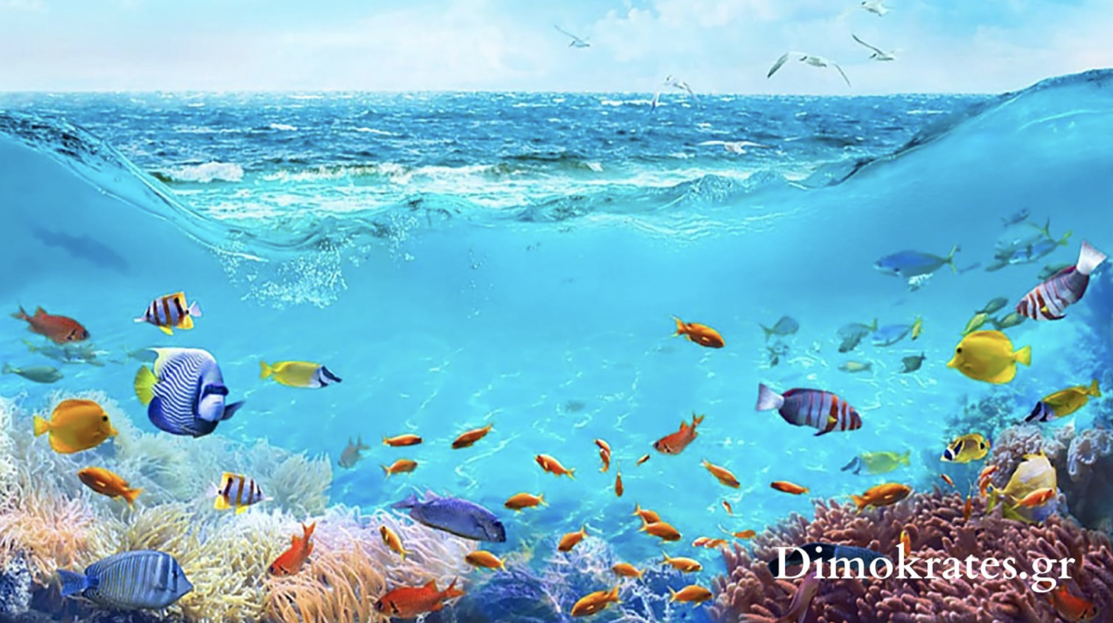 Screenshot 2022-11-20 at 5.33.32 PM.png