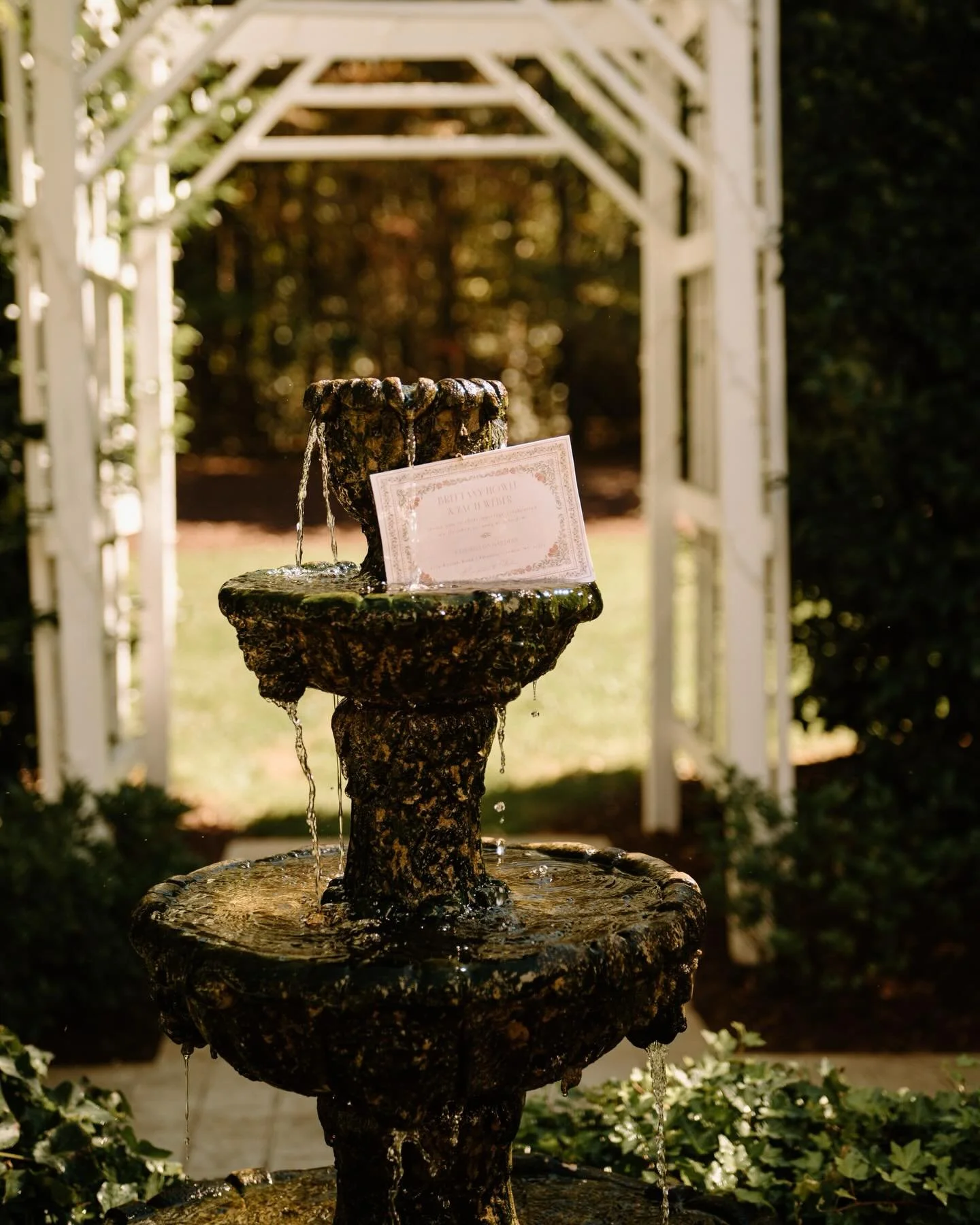 On this dreary January day, step back into October with me into the secret garden with Brittany + Zach ✨💐🐌🌱🧺⛲️