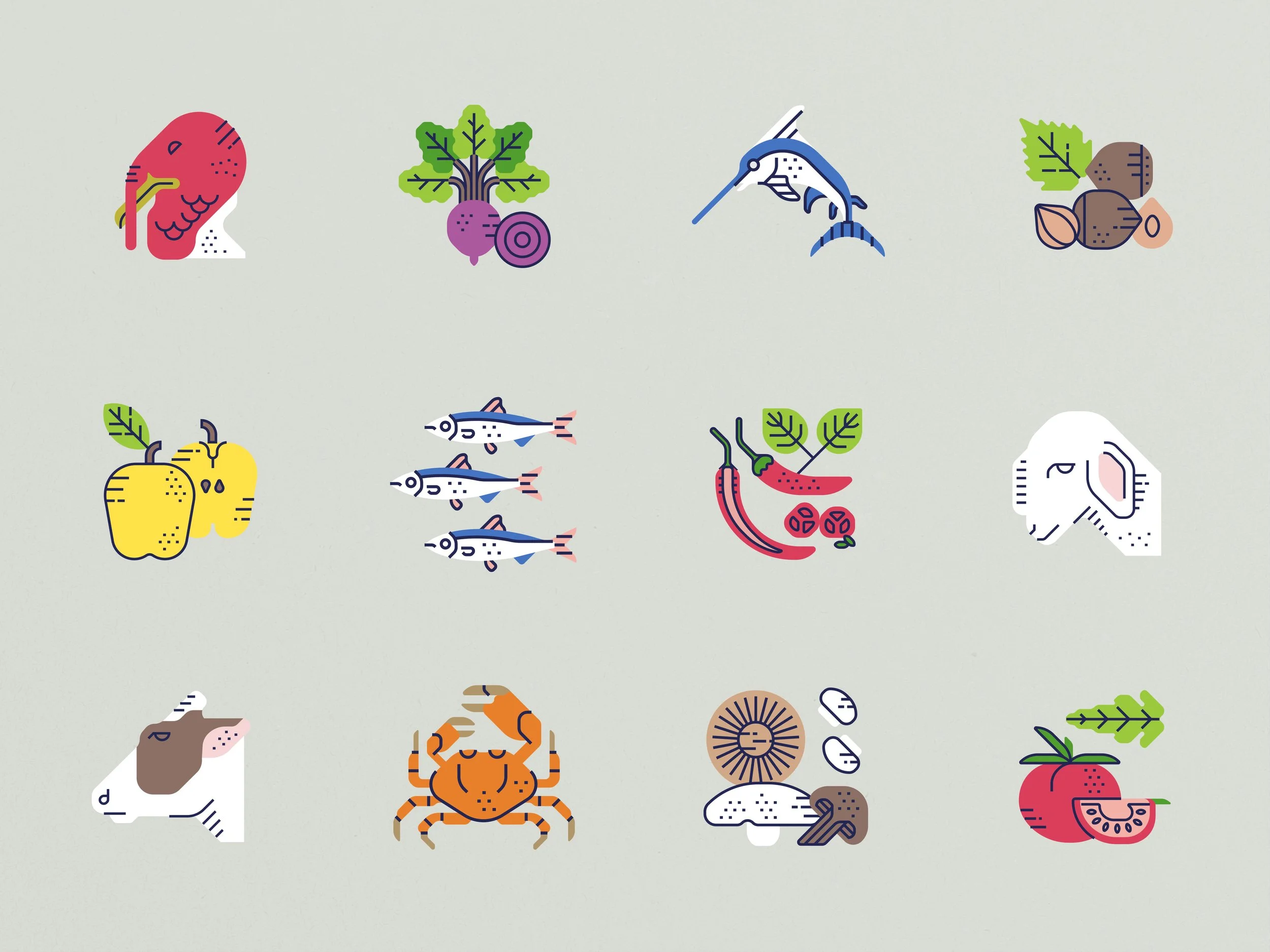 Raw Food Series