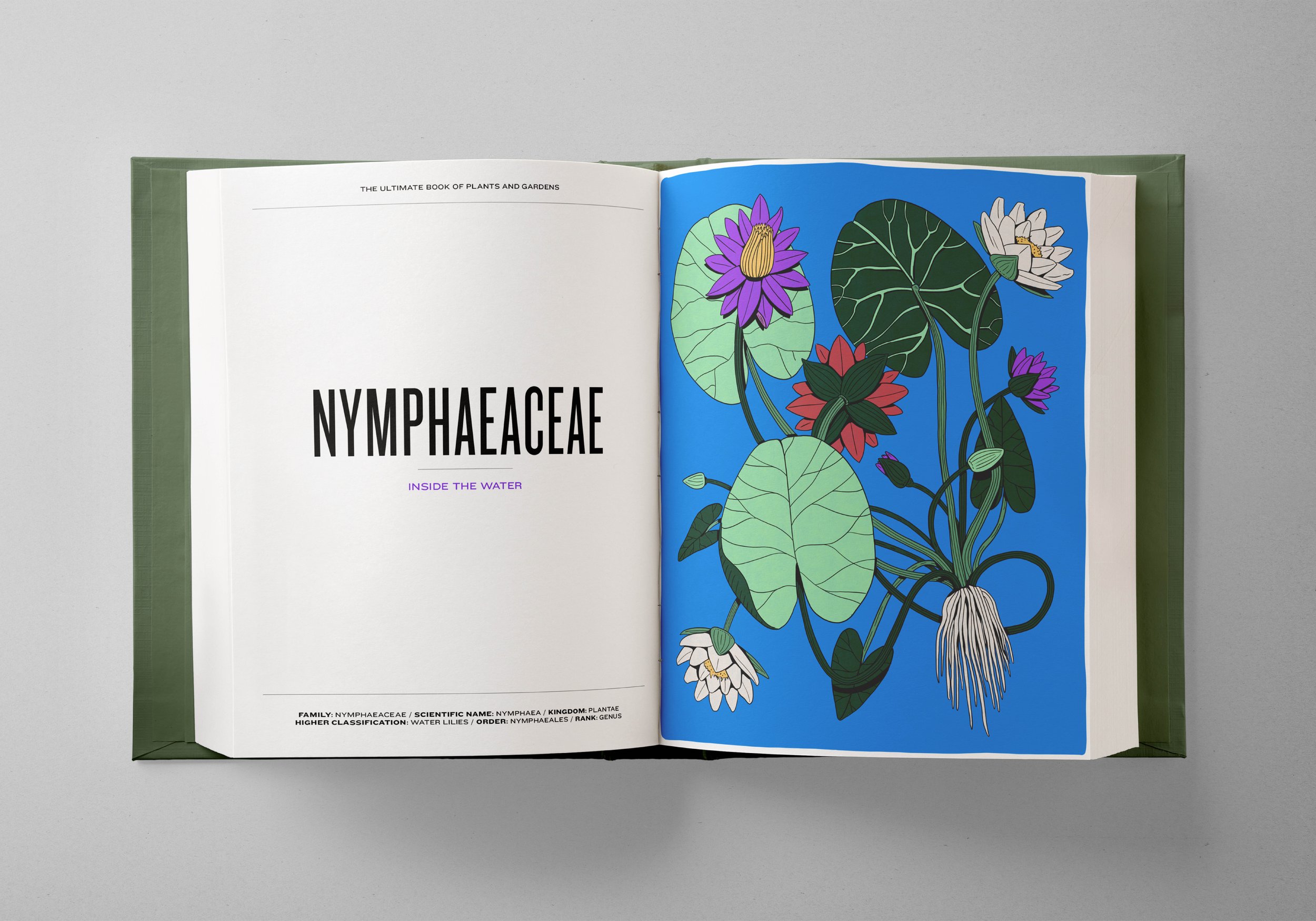 The Ultimate books of Plants and Gardens8.jpg