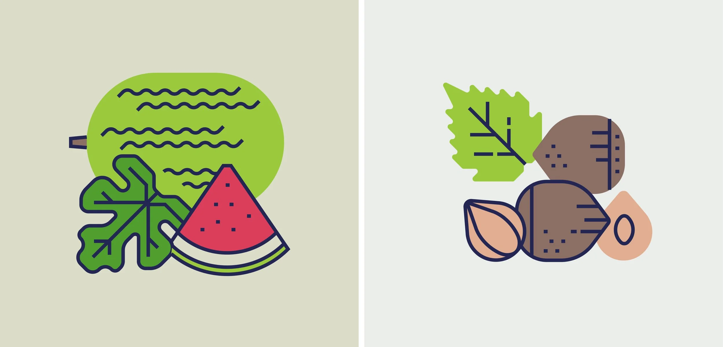 Raw Food Series Icon Set NEW23.jpg