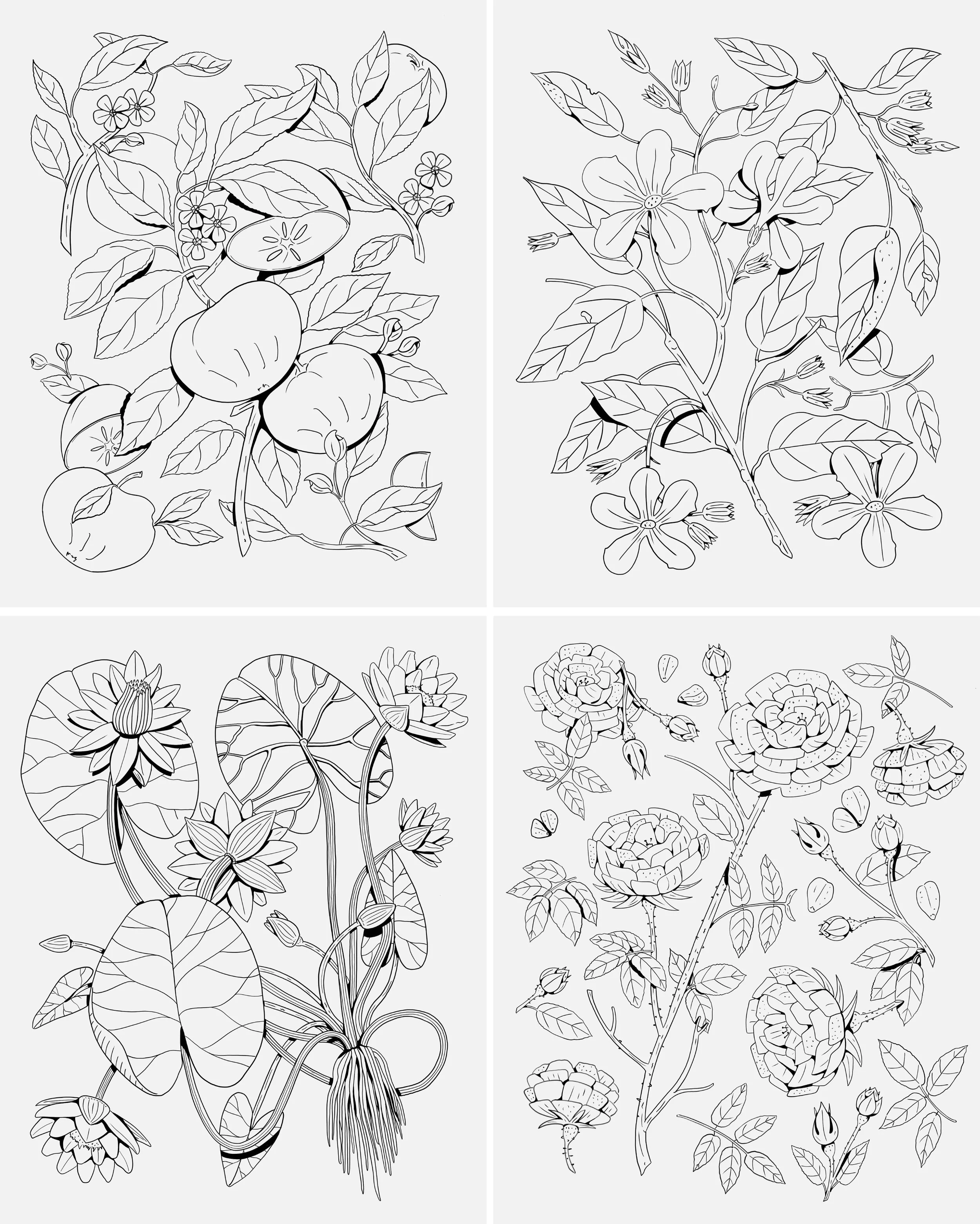 The-Ultimate-books-of-Plants-and-Gardens2.jpg