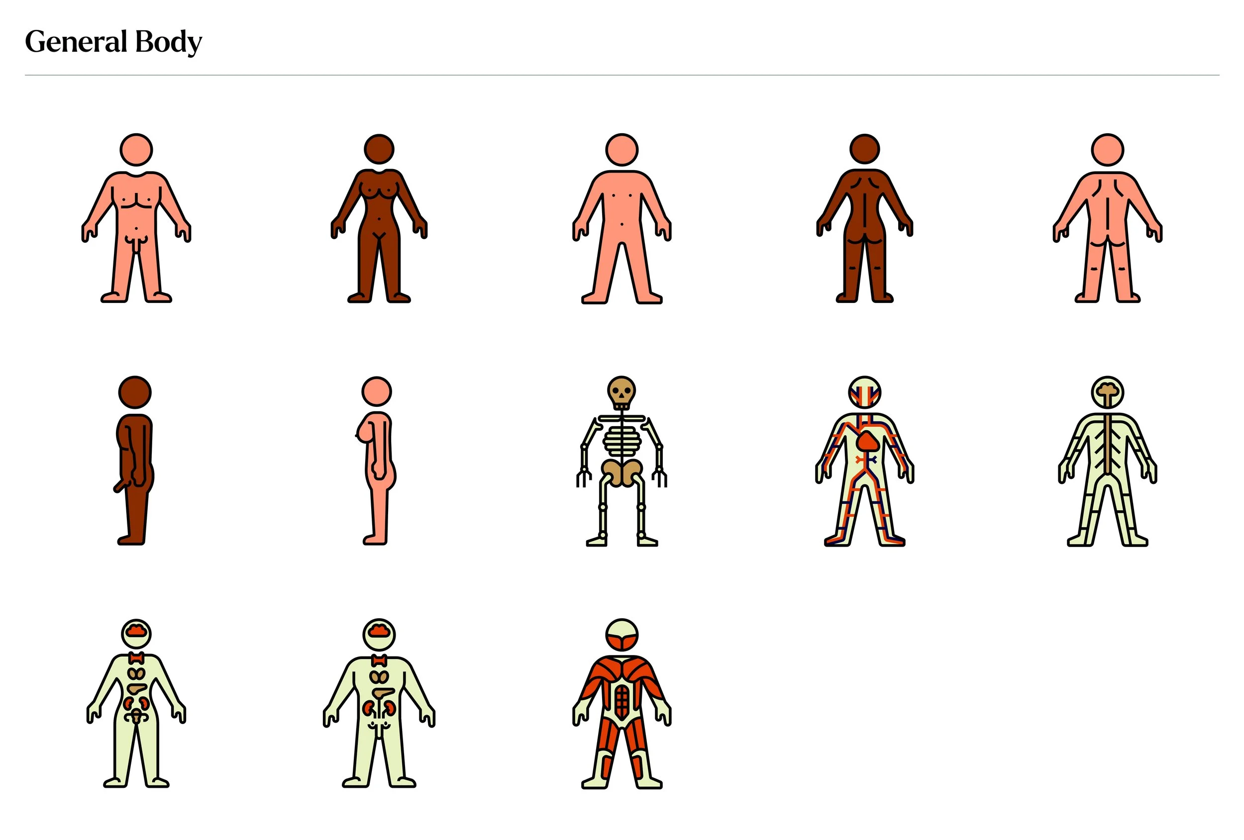 The Body Icon Set4.jpg